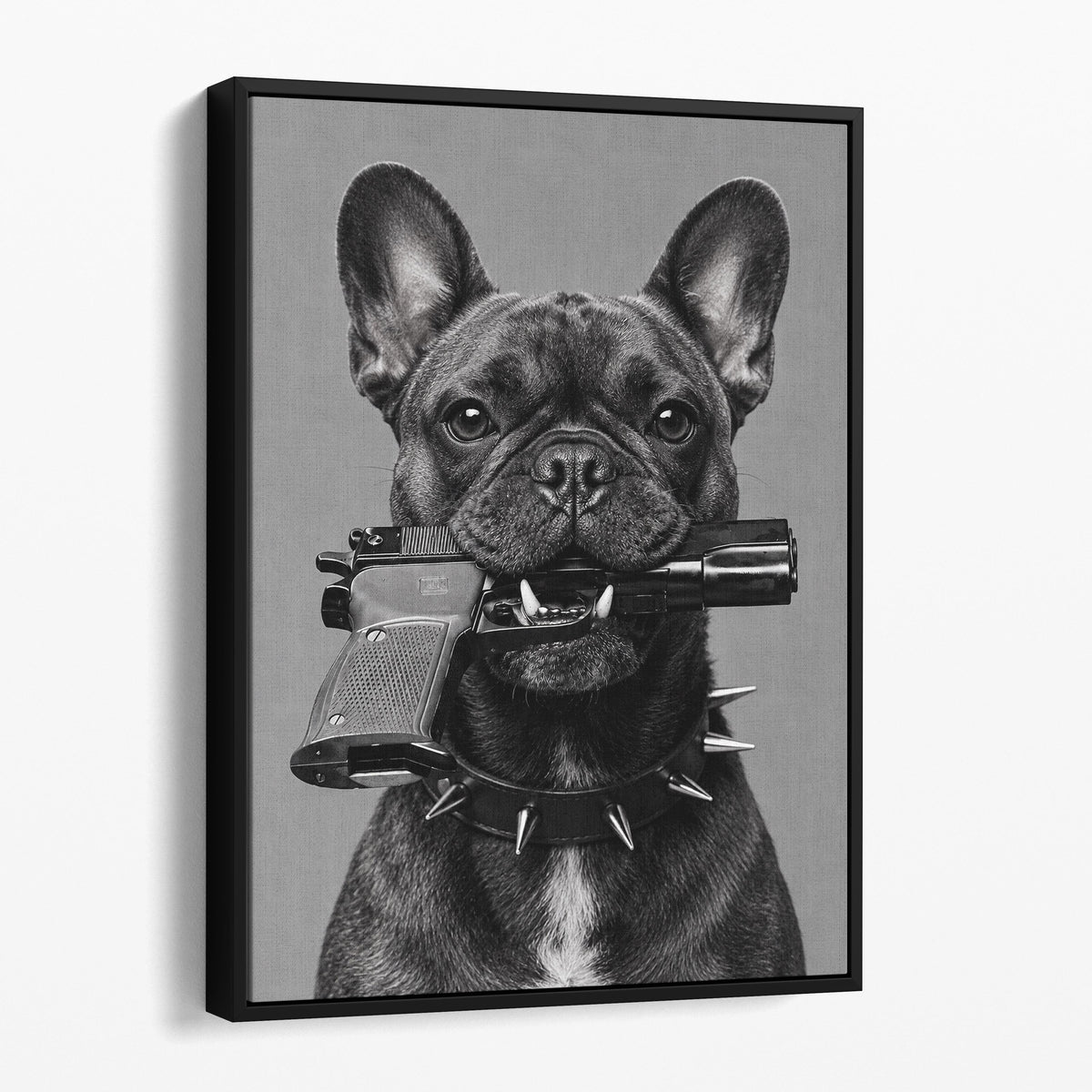 French Bulldog Gun In Mouth