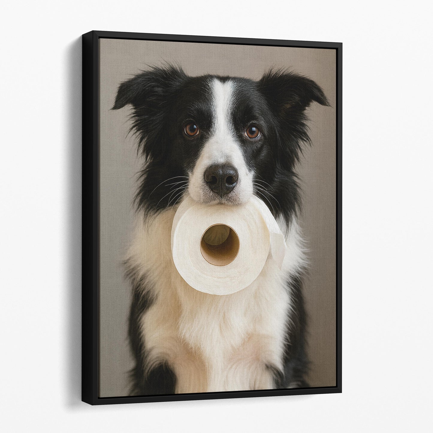 Border Collie Dog Toilet Paper
