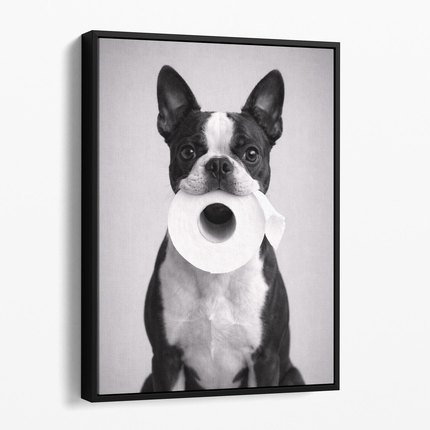Boston Terrier Dog Toilet Paper