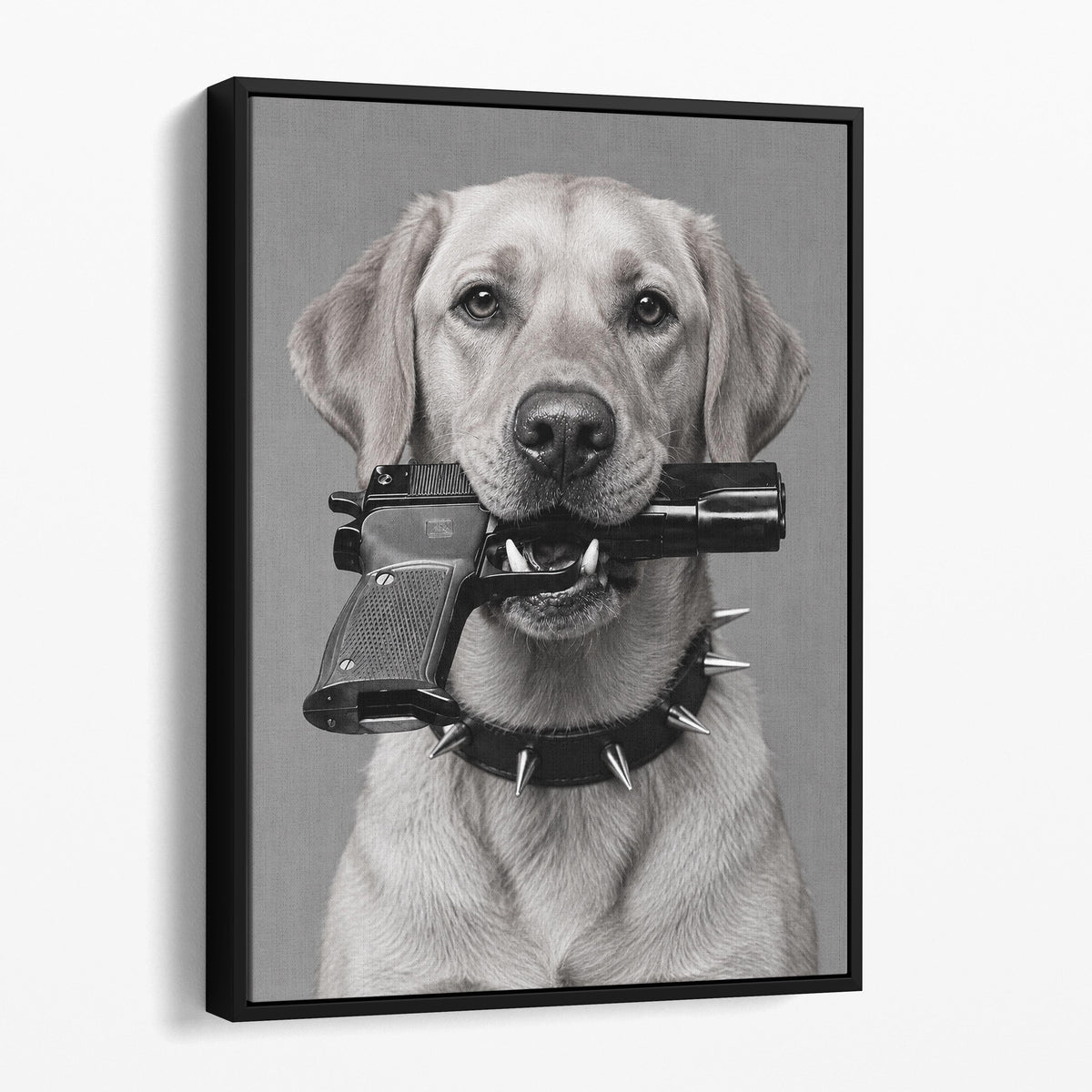 Yellow Labrador Gun In Mouth