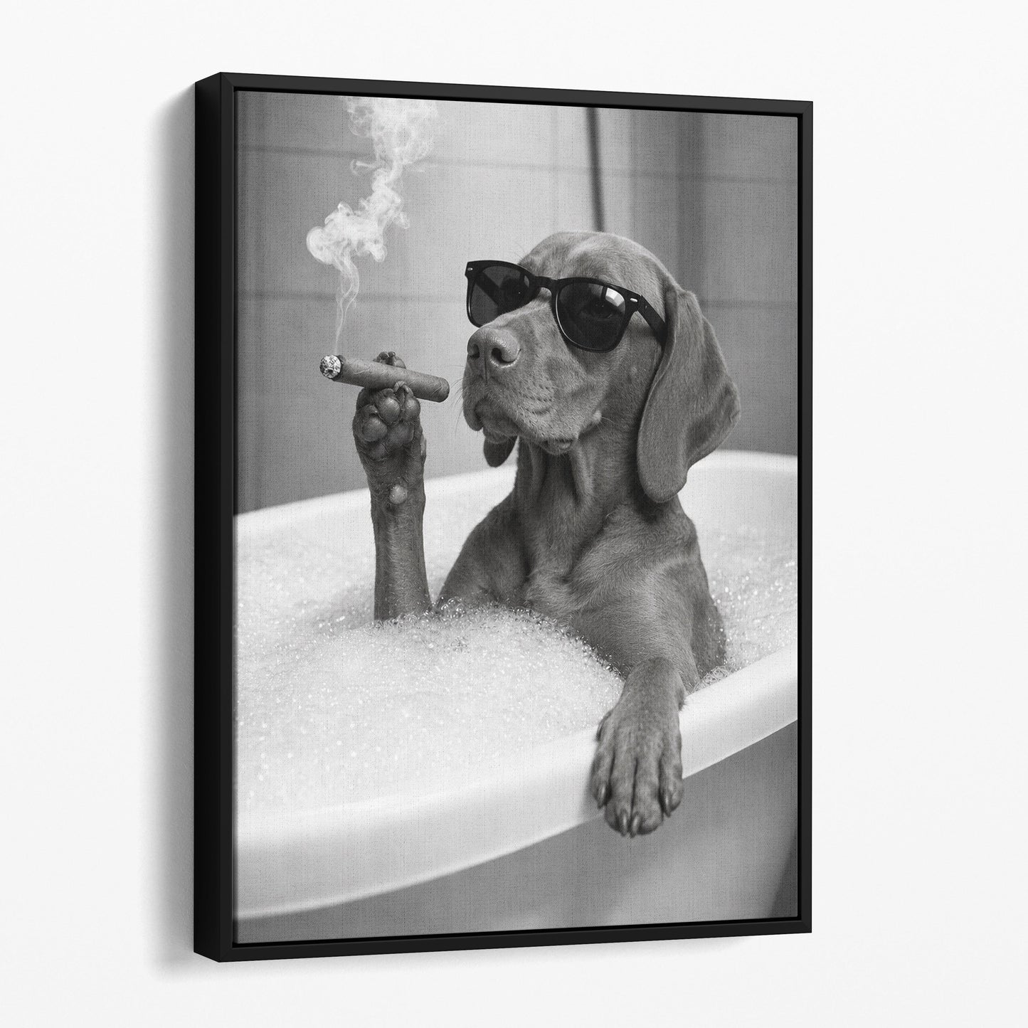 Vizsla Dog Bathtub Cigar