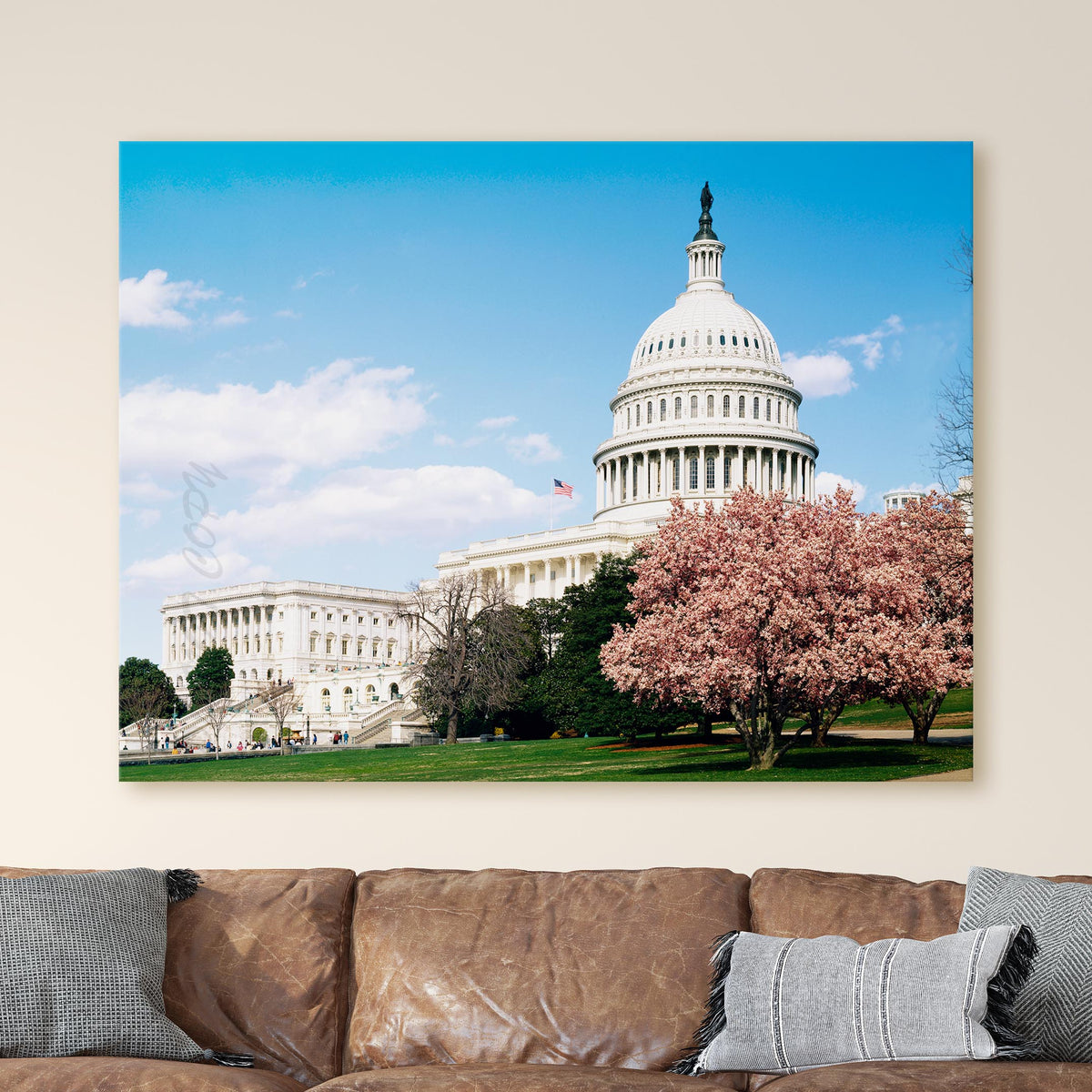 U.S. Capitol Building, Washington D.C.