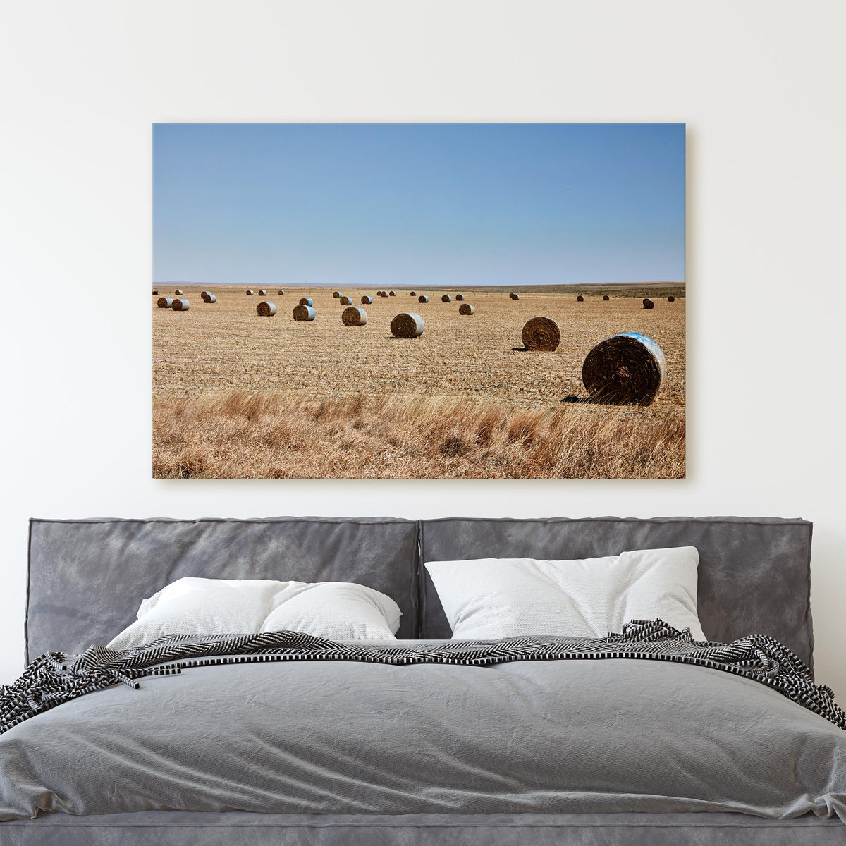 Hay Rolls Field