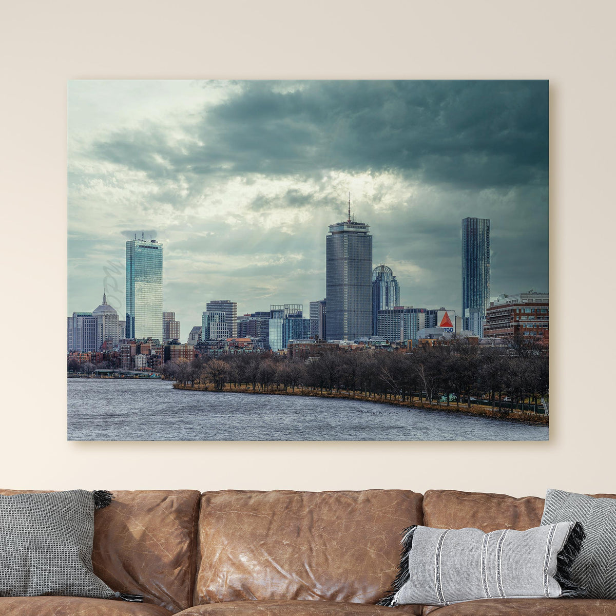 Boston Skyline from the Charles River