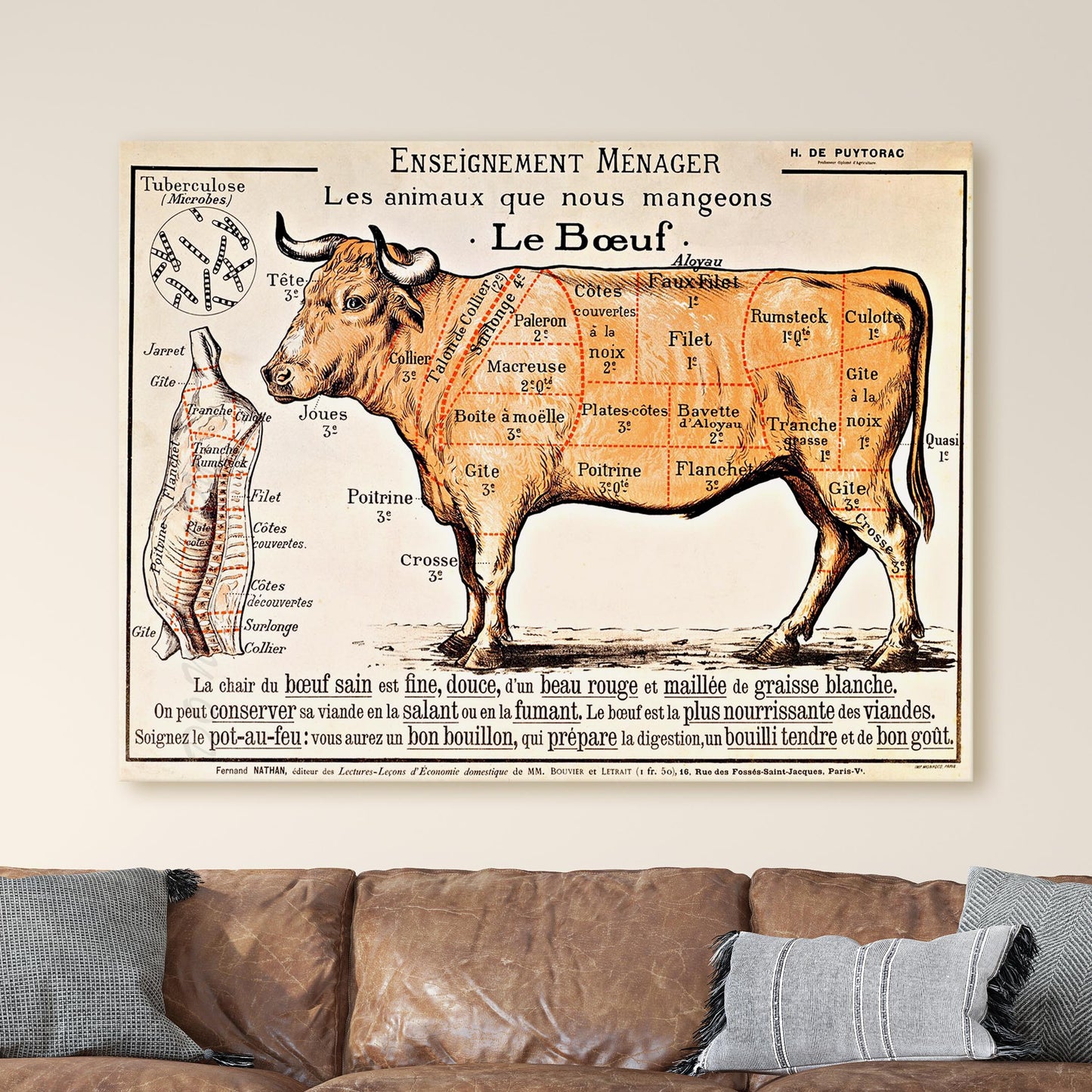 French School - Beef Diagram