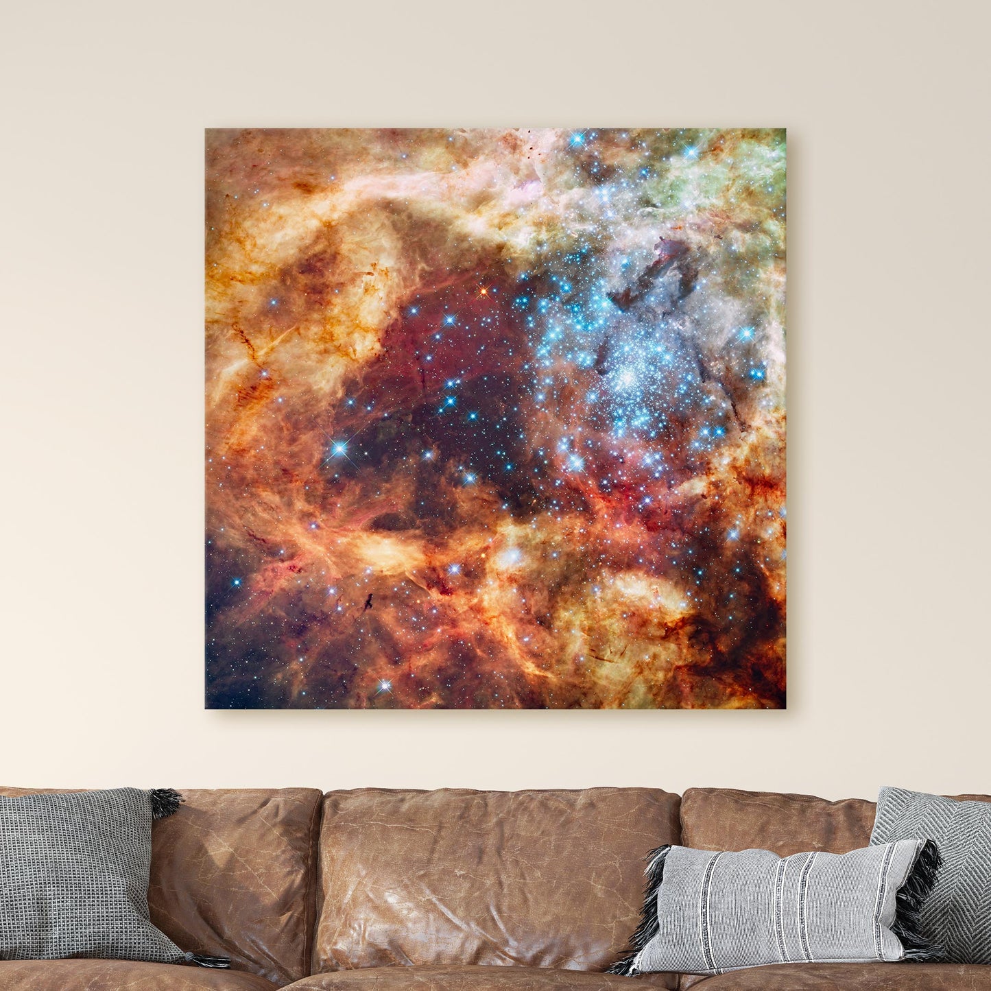 R136 Star Cluster (NASA Hubble Space Telescope)