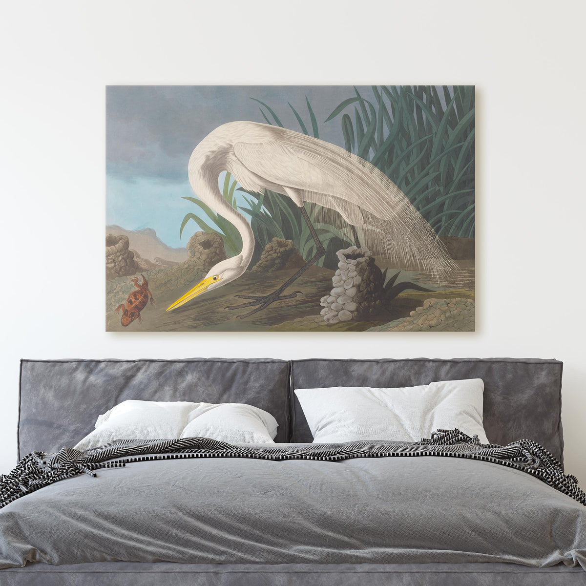 White Heron - John James Audubon, Birds of America