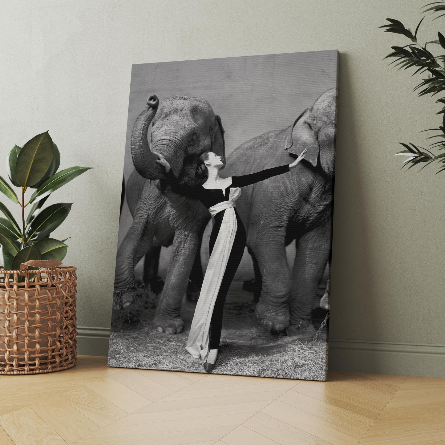 Dovima with the Elephants
