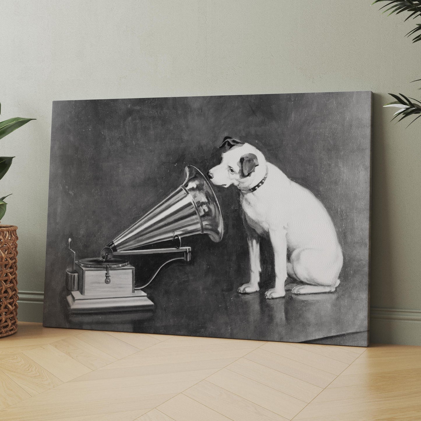 Nipper the Dog Listening to a Phonograph 1898