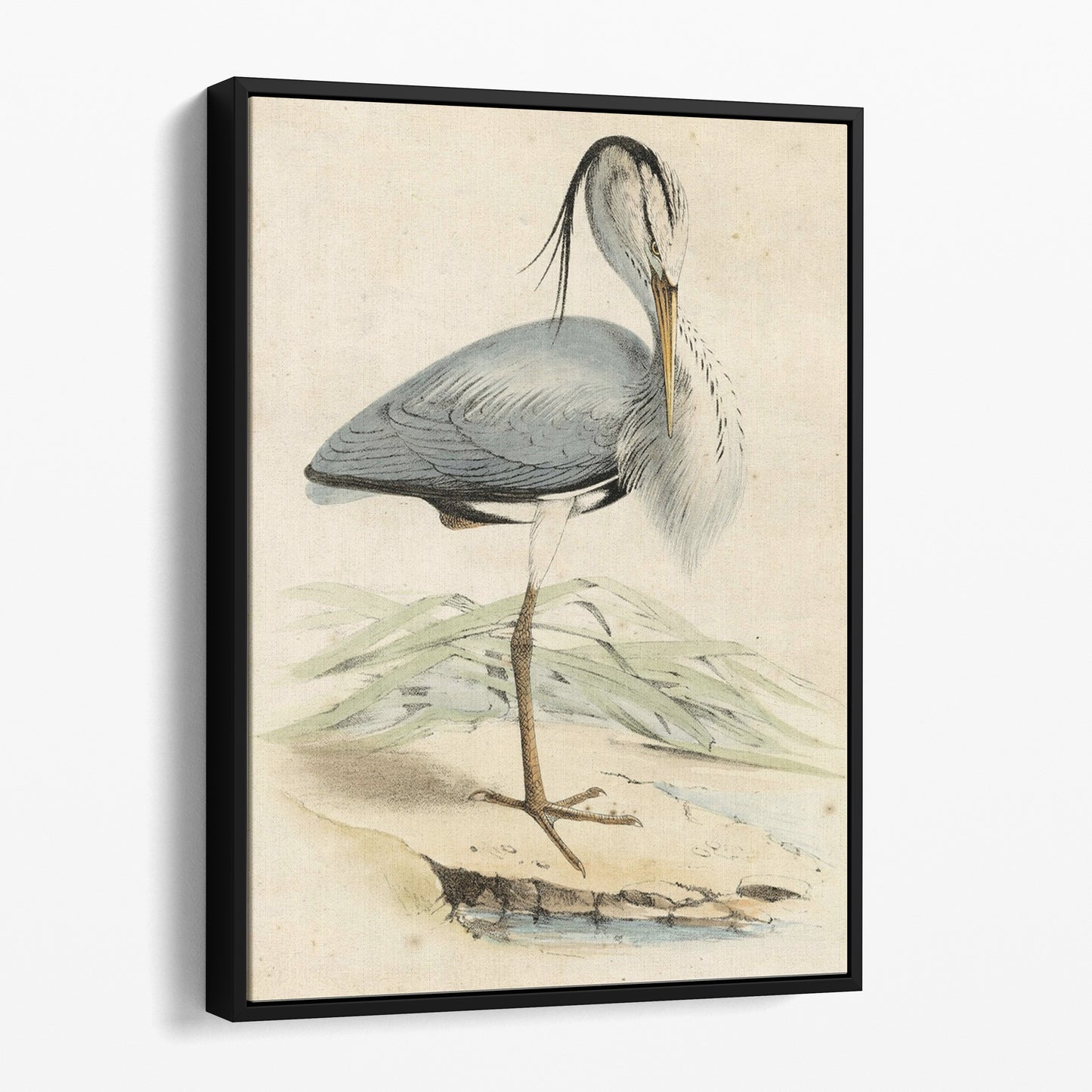 Antique Heron