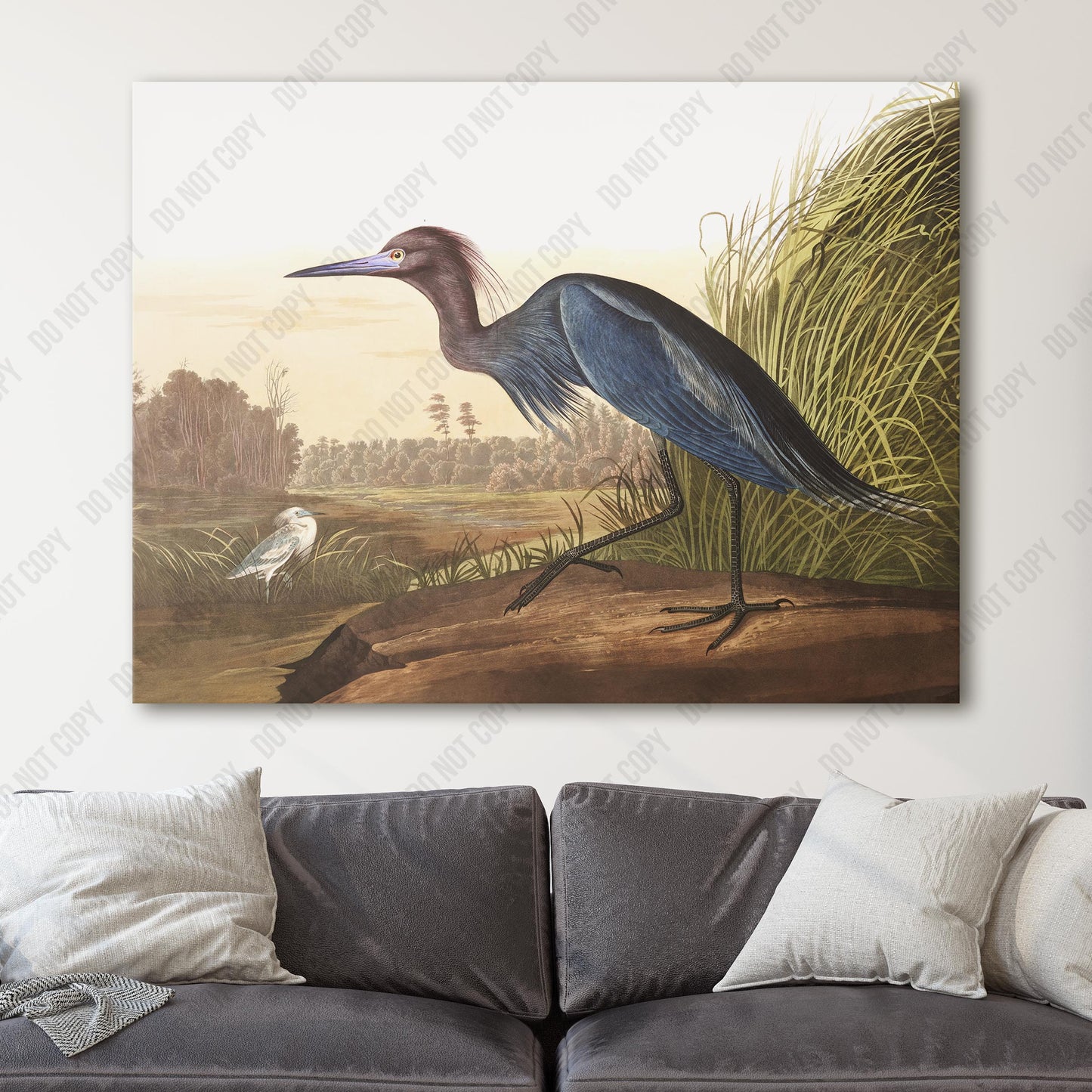 Blue Crane or Heron, Birds of America