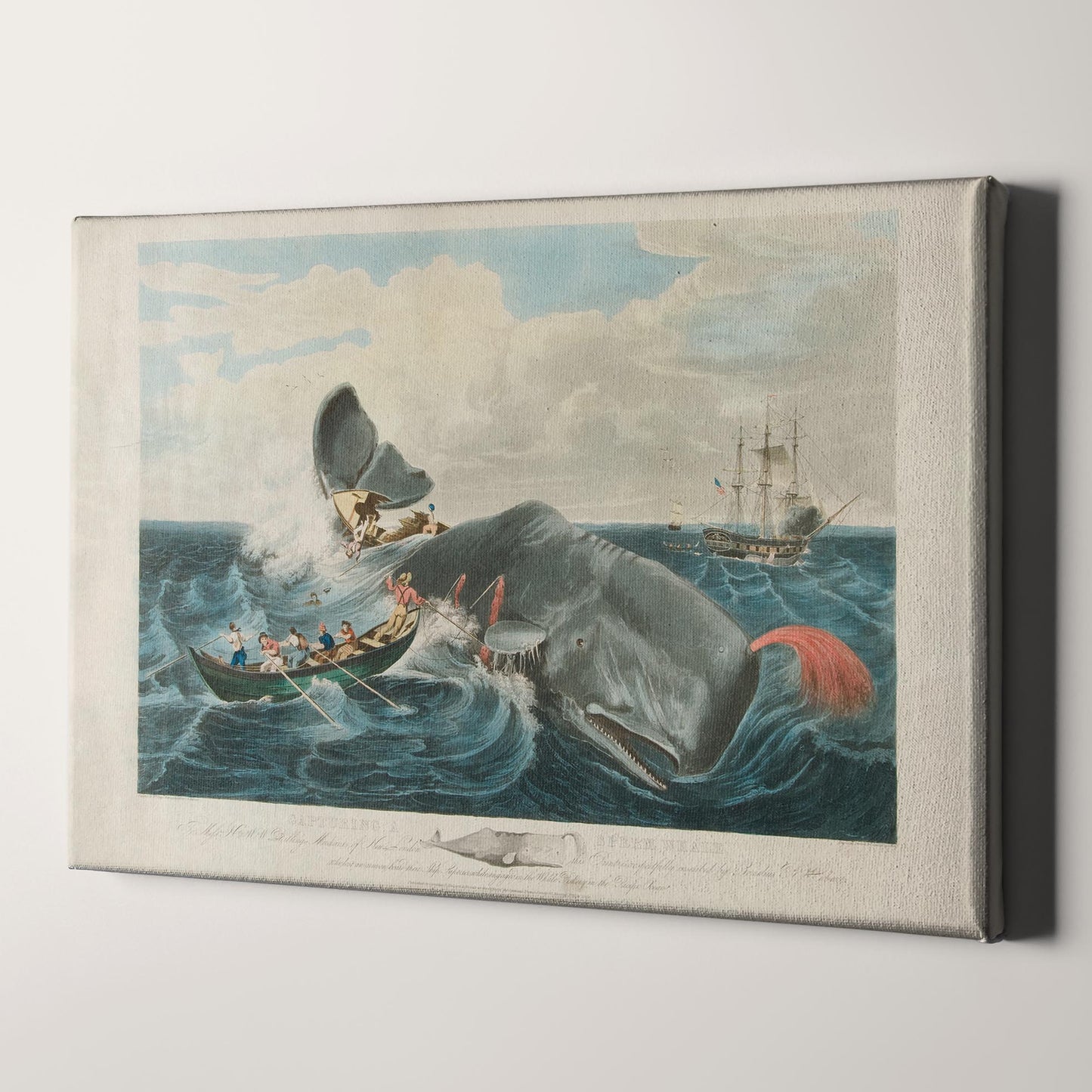 Capturing a Sperm Whale by John William Hill 1835