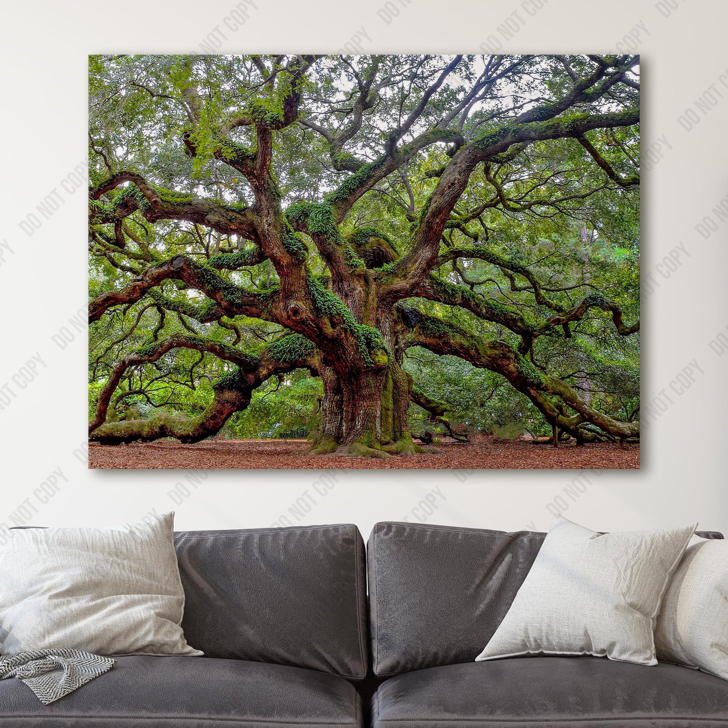 Charleston Angel Oak Tree