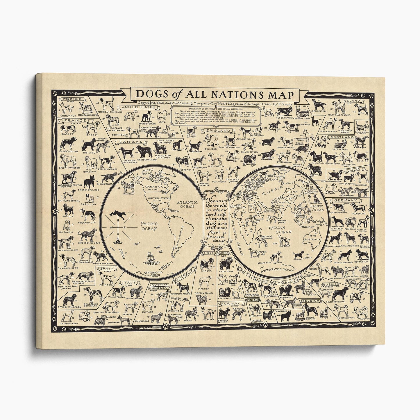 Dog Breeds of the World, 1935 Dogs of All Nations Map