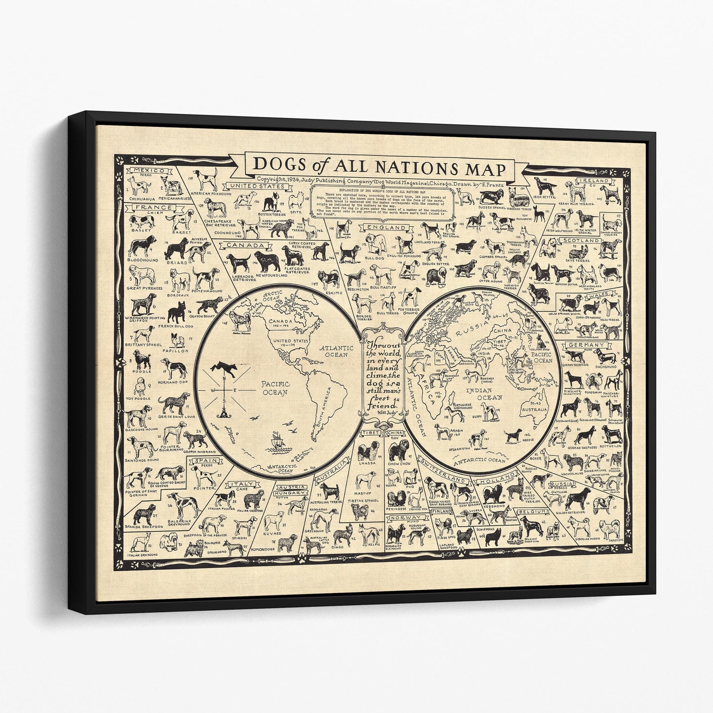 Dog Breeds of the World, 1935 Dogs of All Nations Map