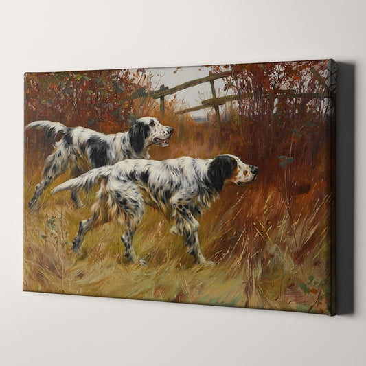 English Setter Dogs