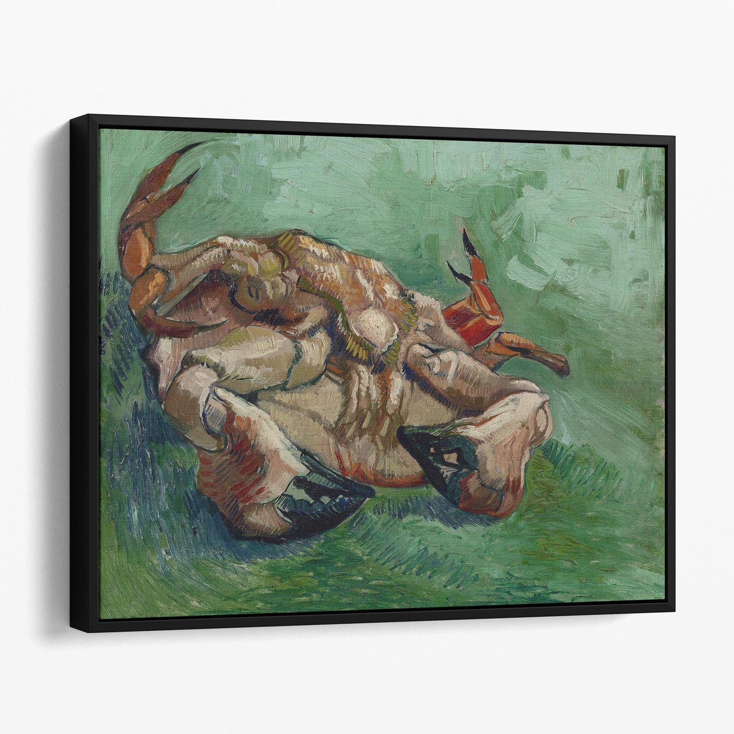 Crab on its Back (1888) by Van Gogh