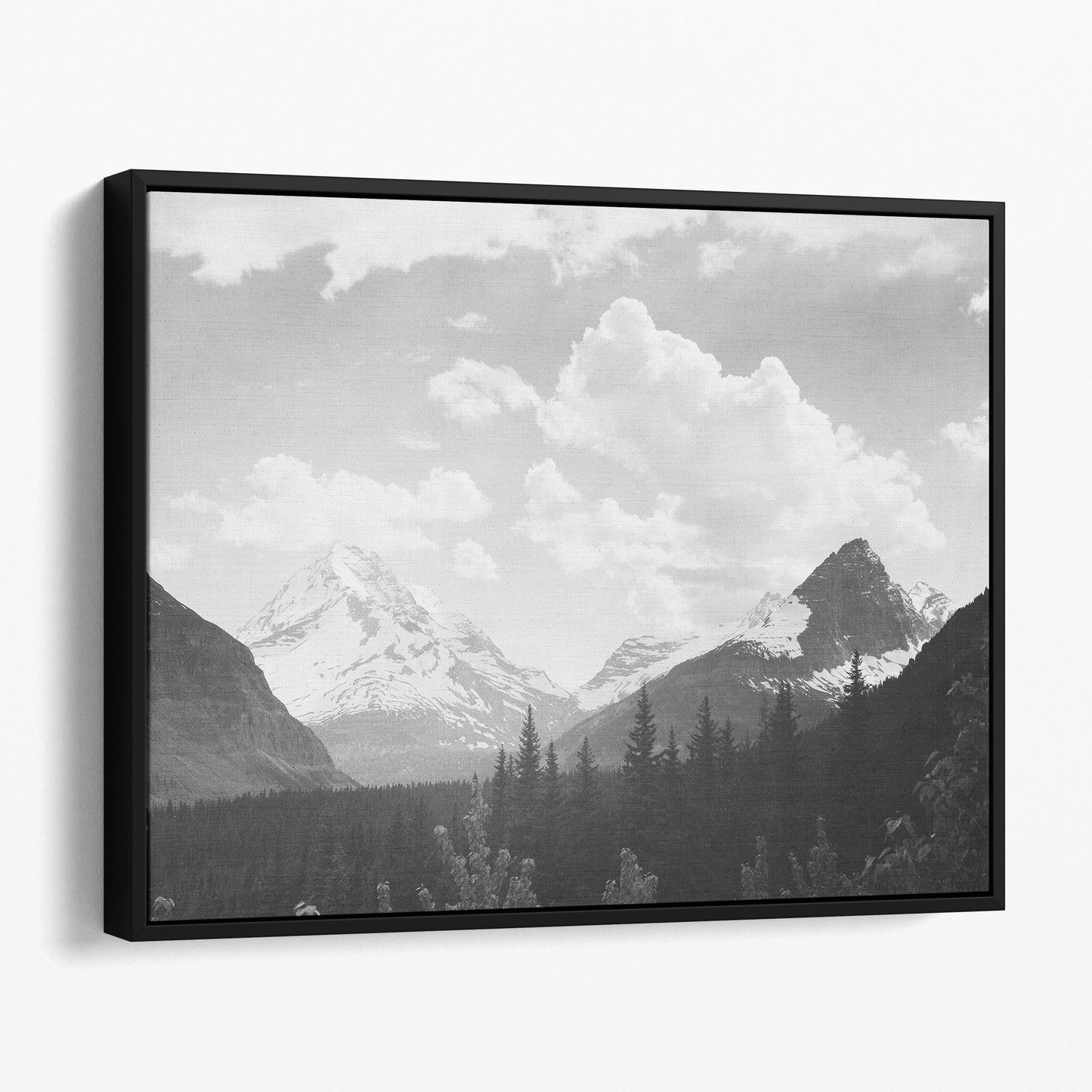 In Glacier National Park by Ansel Adams