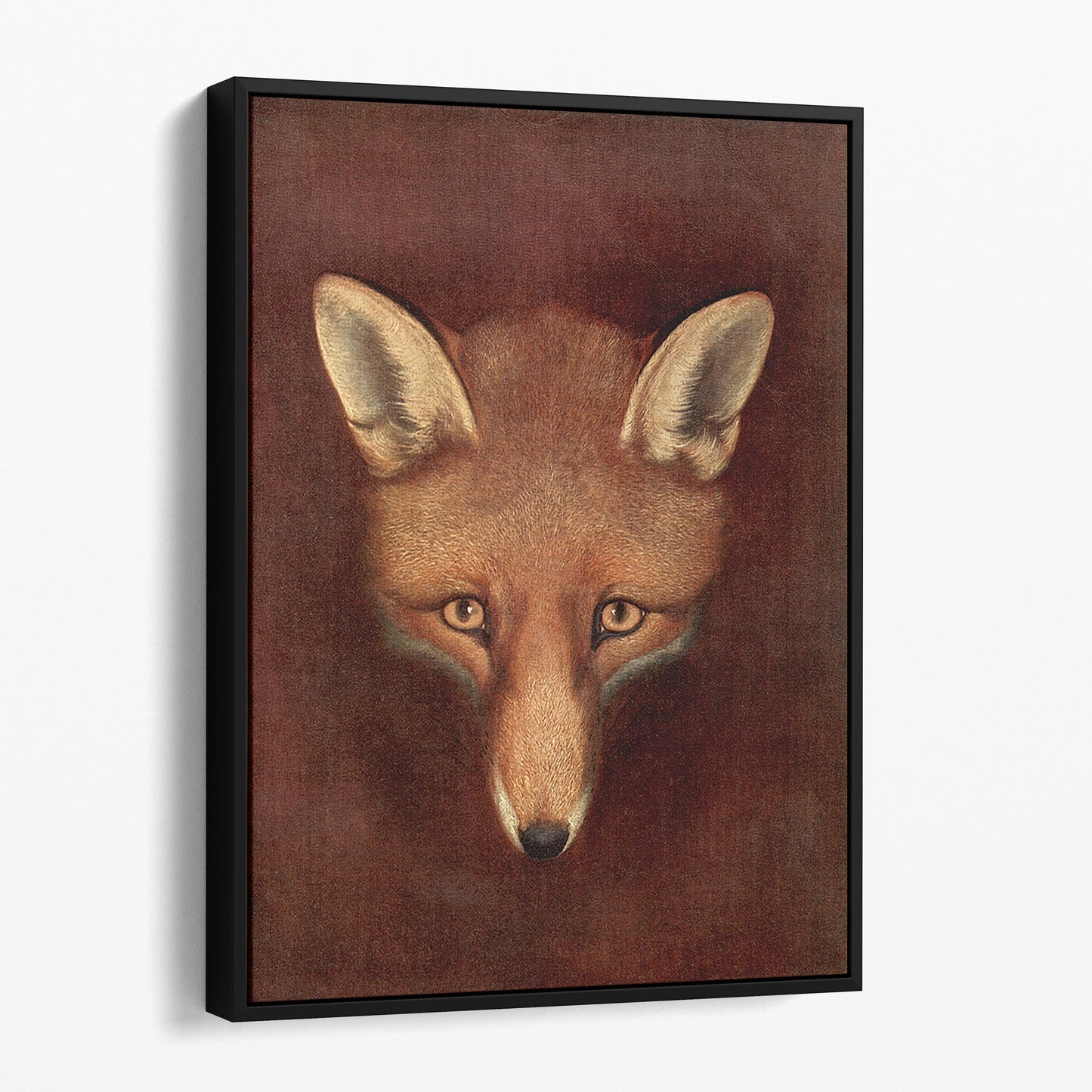 Fox Head by Reinagle