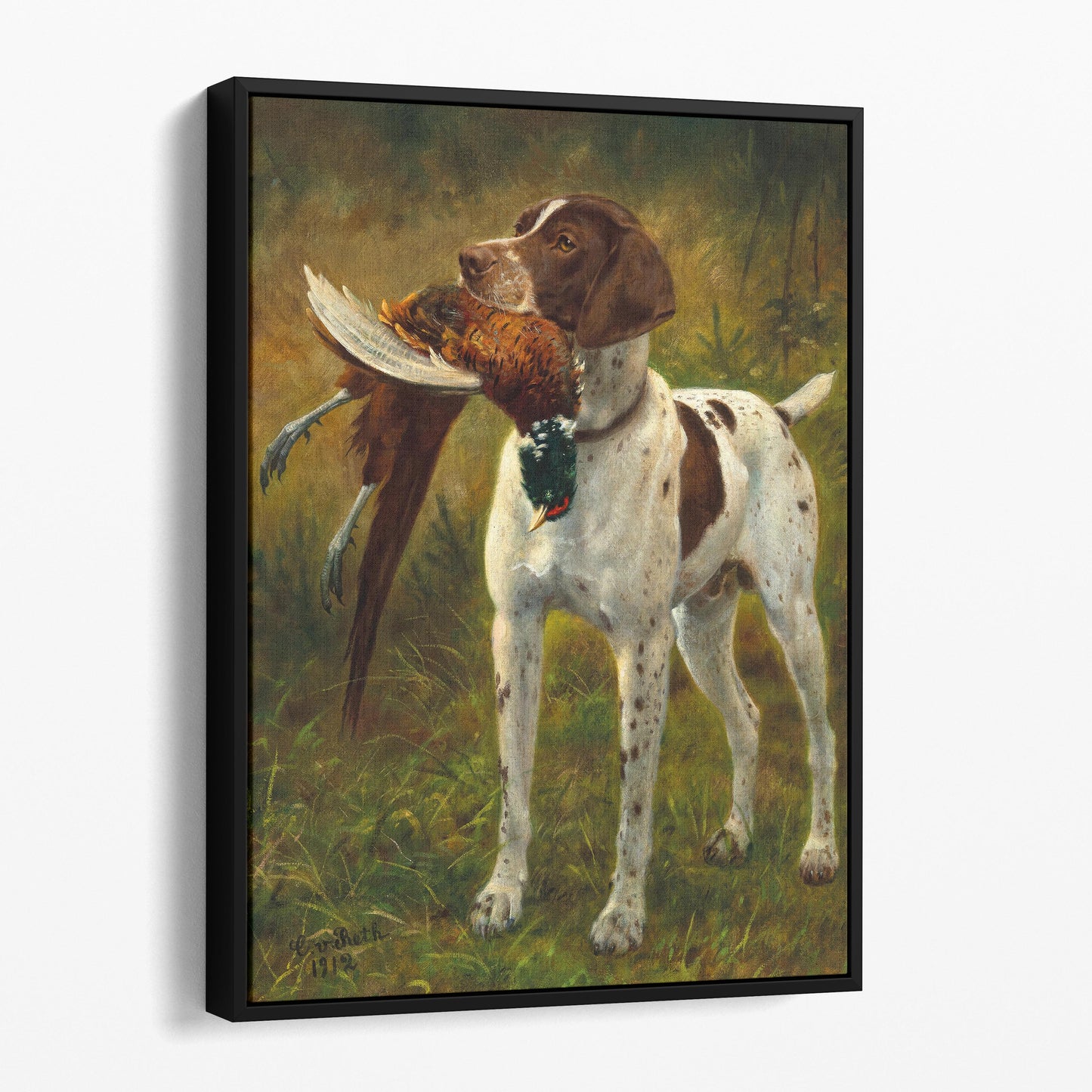 GSP German Shorthaired Pointer Dog 1912