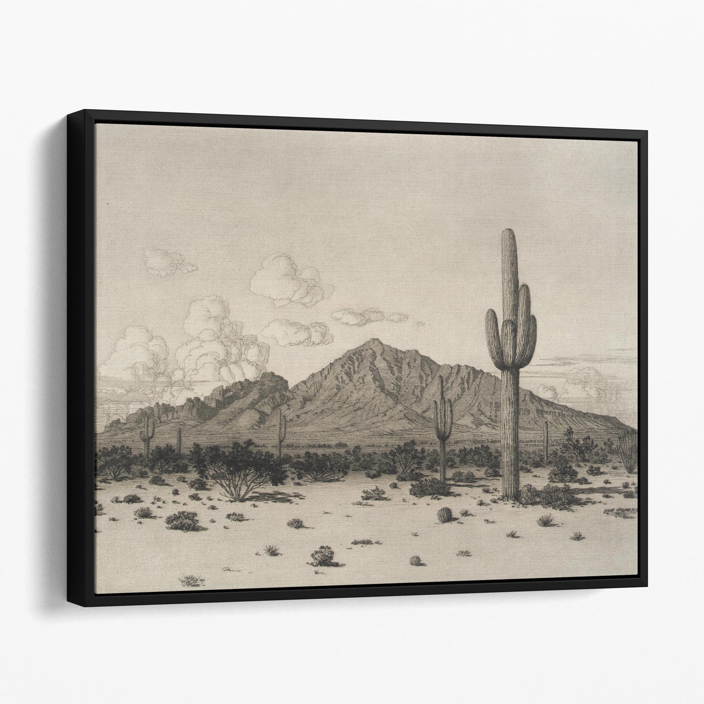 Phoenix Arizona Camelback Mountain 1926