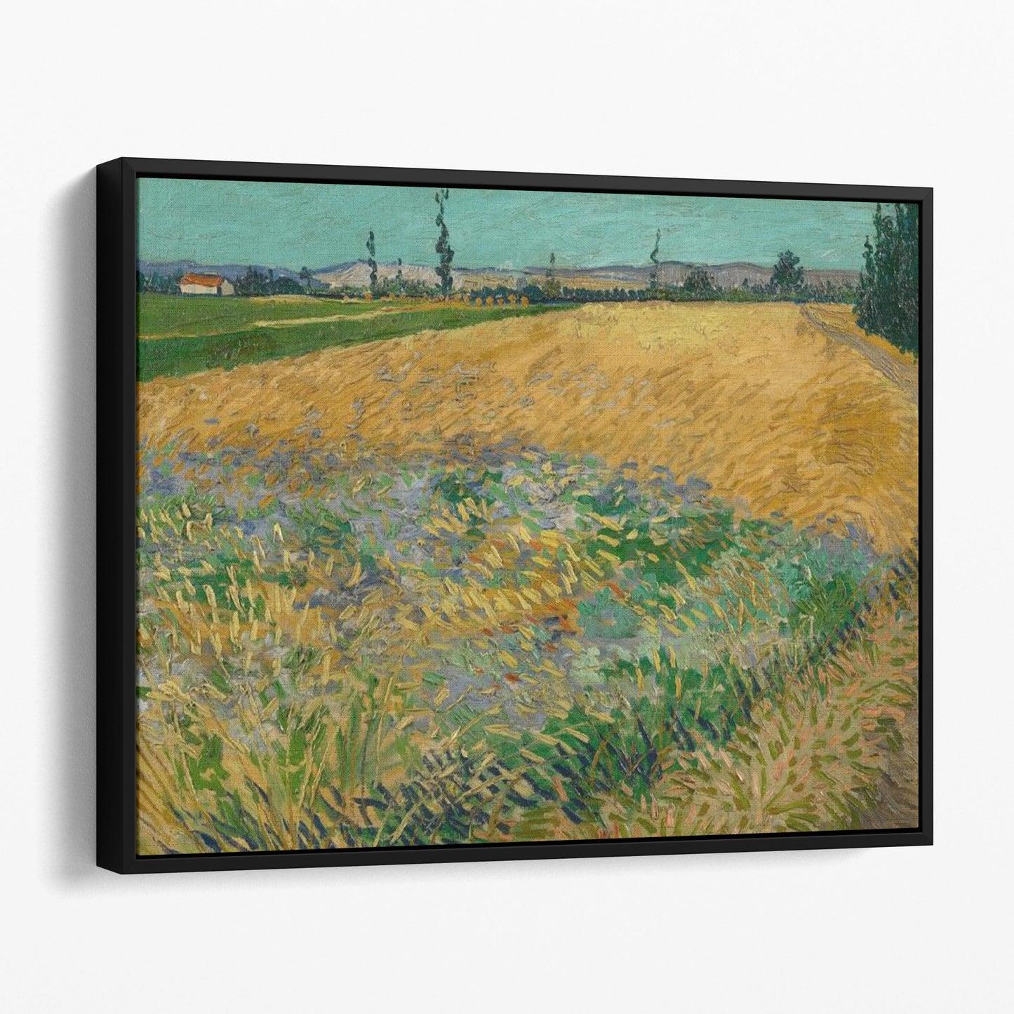 Wheatfield (1888) by Van Gogh