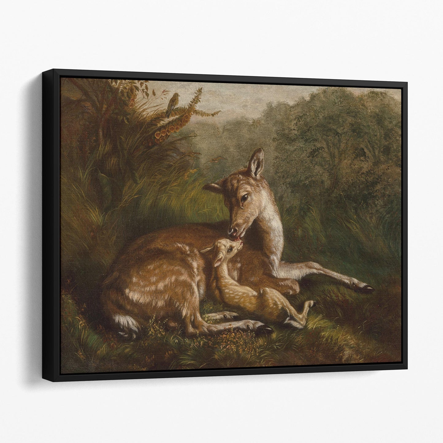 Deer and Fawn (1870) by Arthur Fitzwilliam Tait