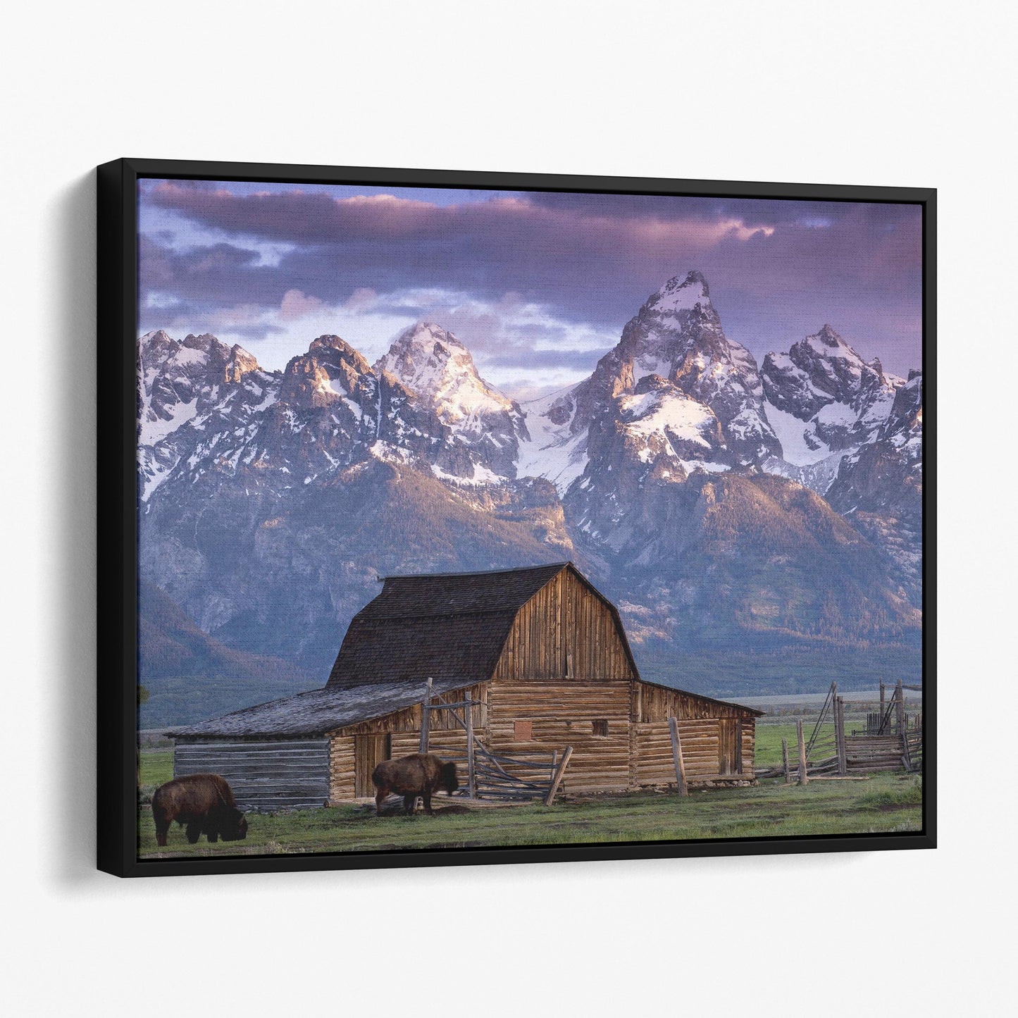 Old Barn With Mountains In Grand Teton National Park