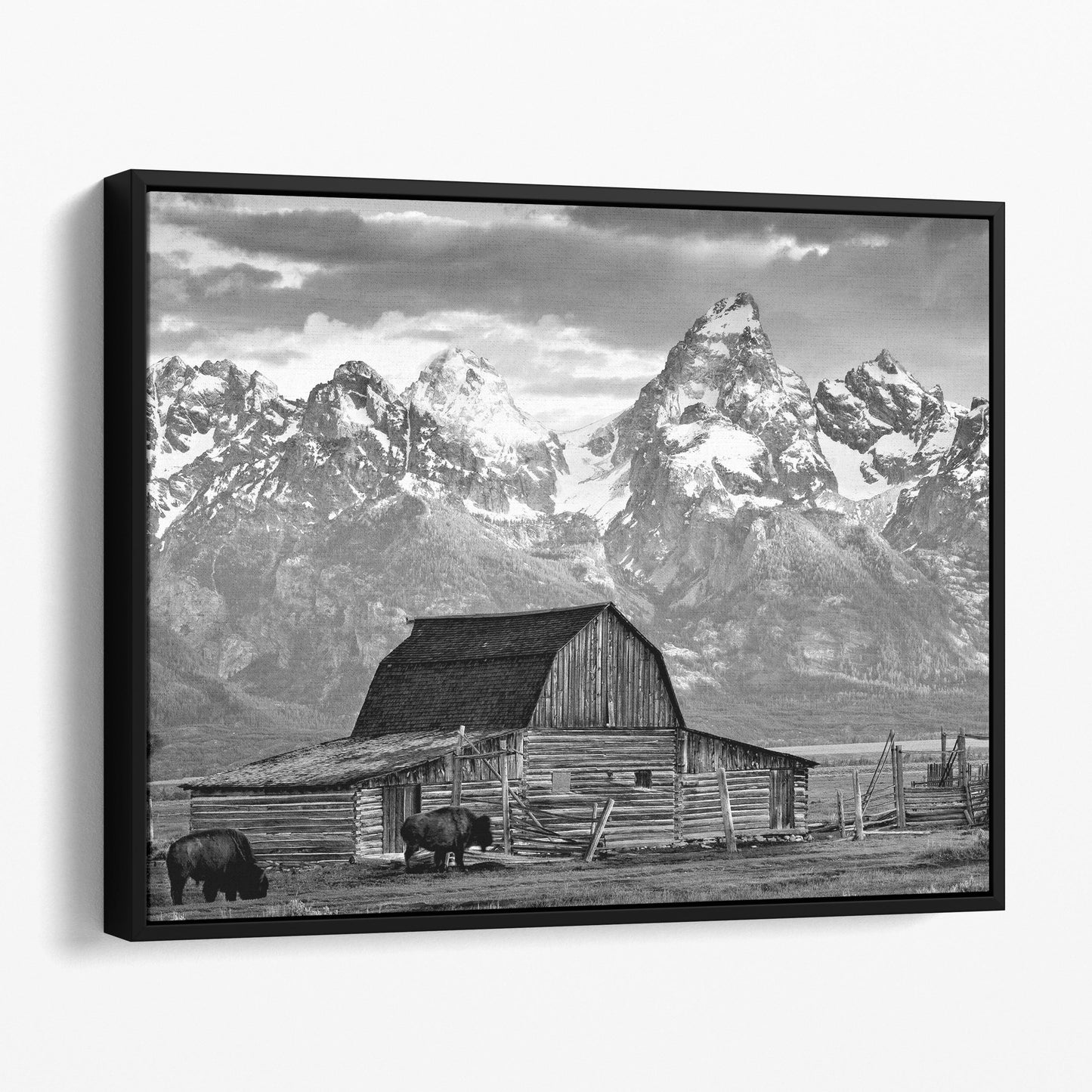 Old Barn In Grand Teton National Park