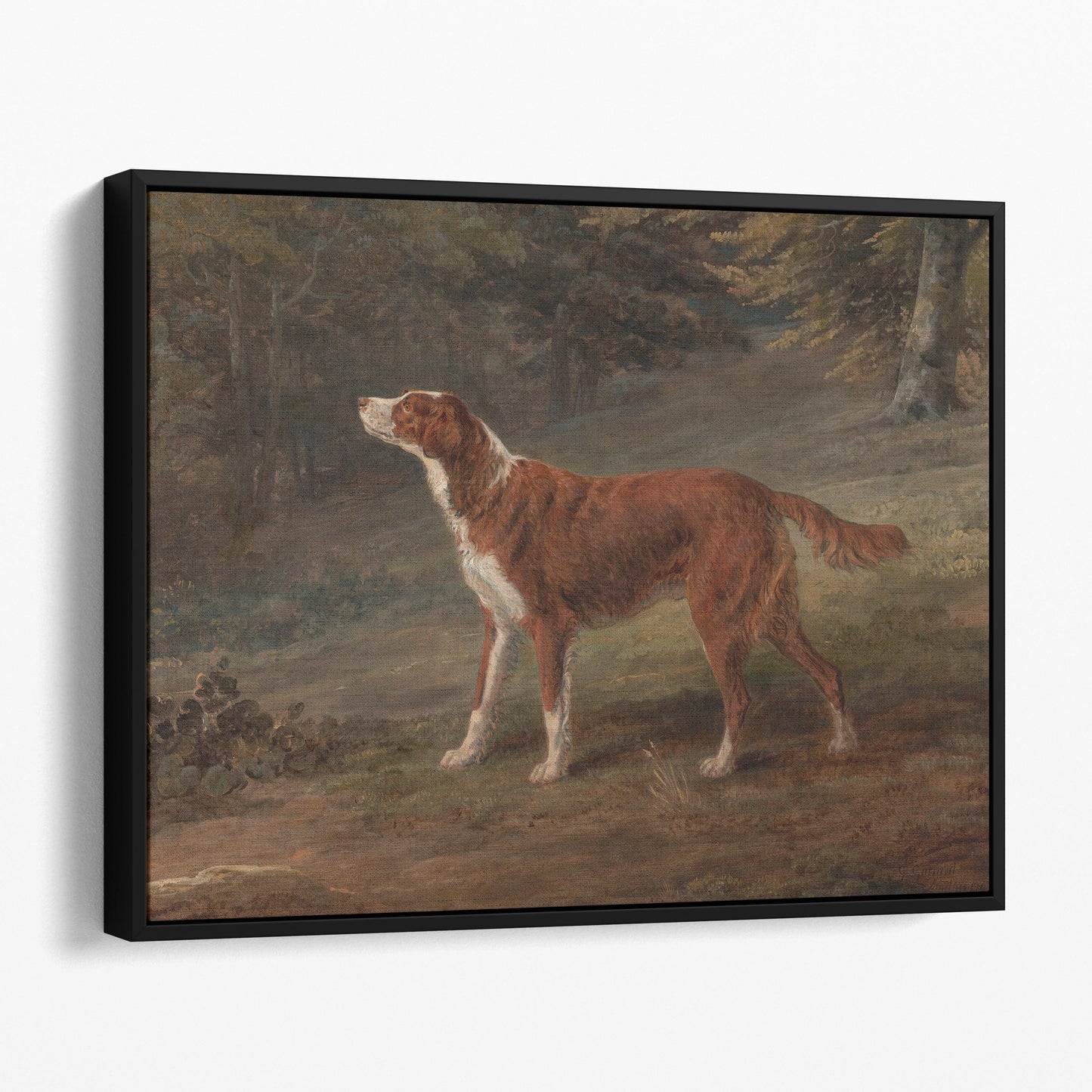 Ranger a English Setter Dog (1797) by George Garrard