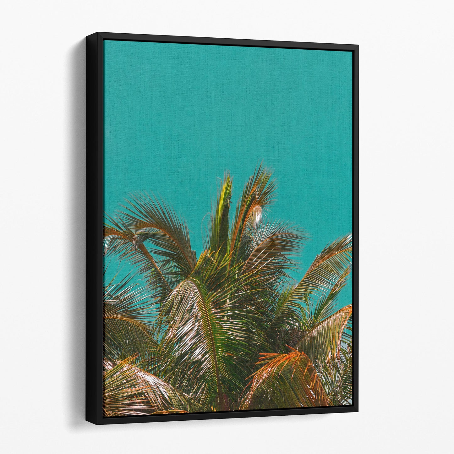 Palm Tree - Aqua