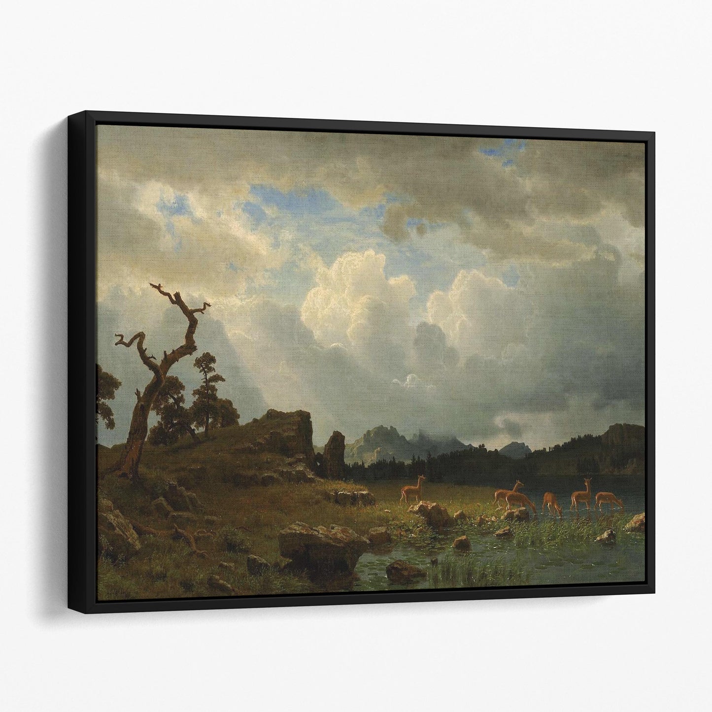 Thunderstorm in the Rocky Mountains (1859) by Albert Bierstadt