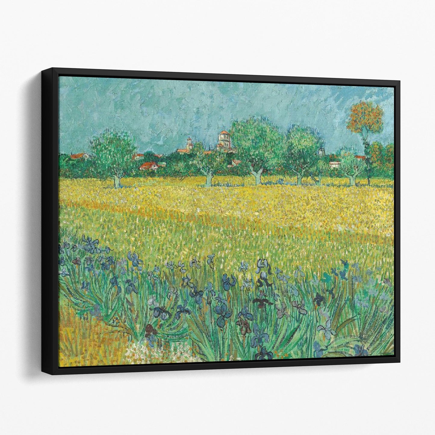 Field with Irises near Arles (1888) by Van Gogh