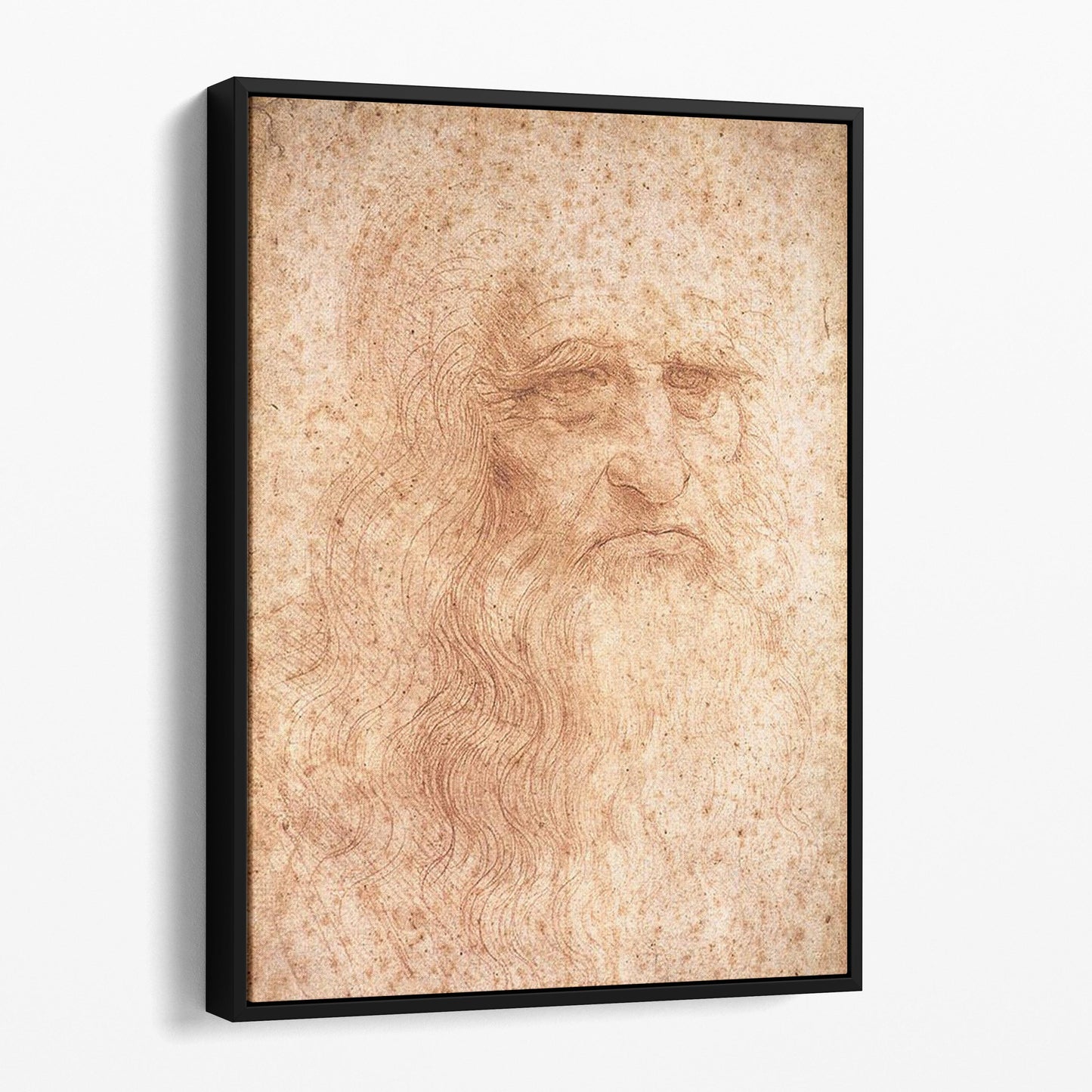 Leonardo Da Vinci Portrait