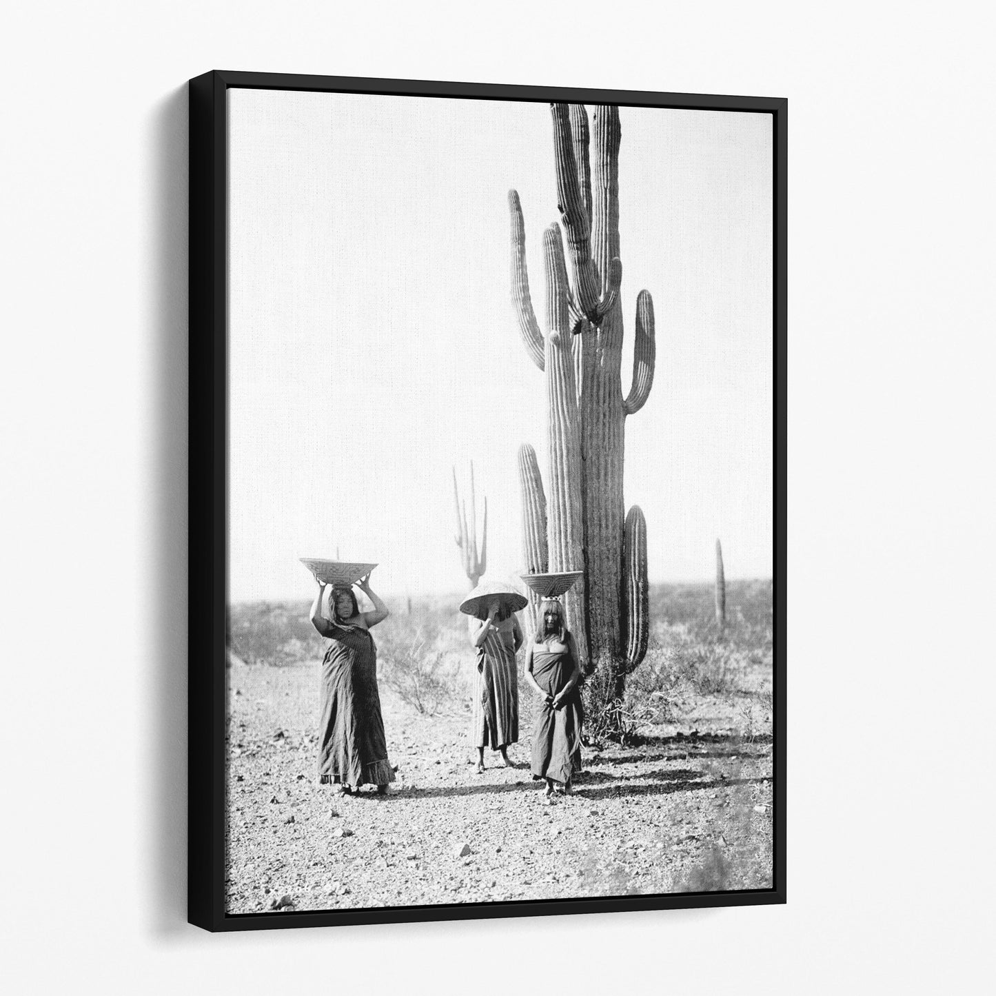 Saguaro Gatherers, Maricopa, Arizona (1907) by Edward Curtis