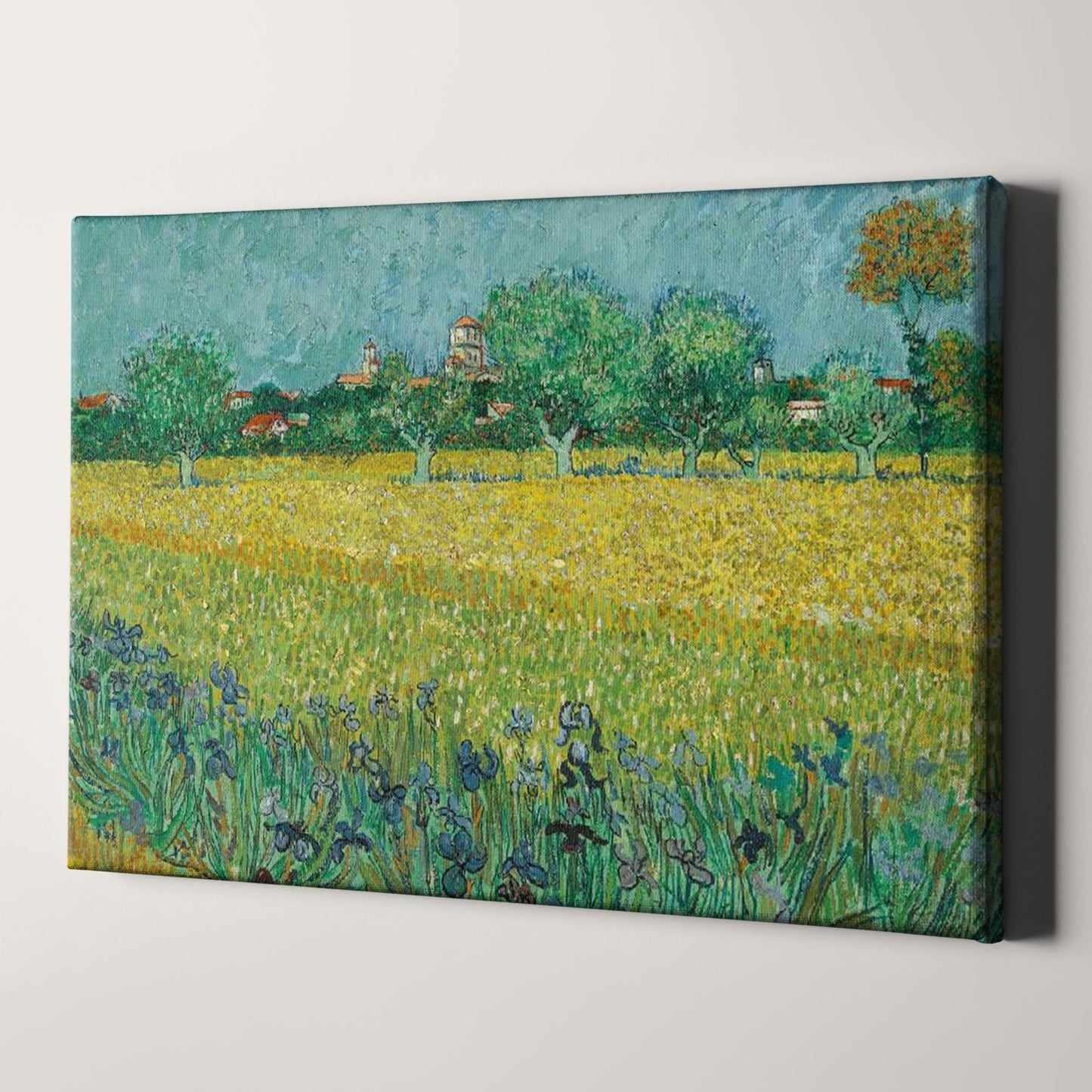 Field with Irises near Arles (1888) by Van Gogh