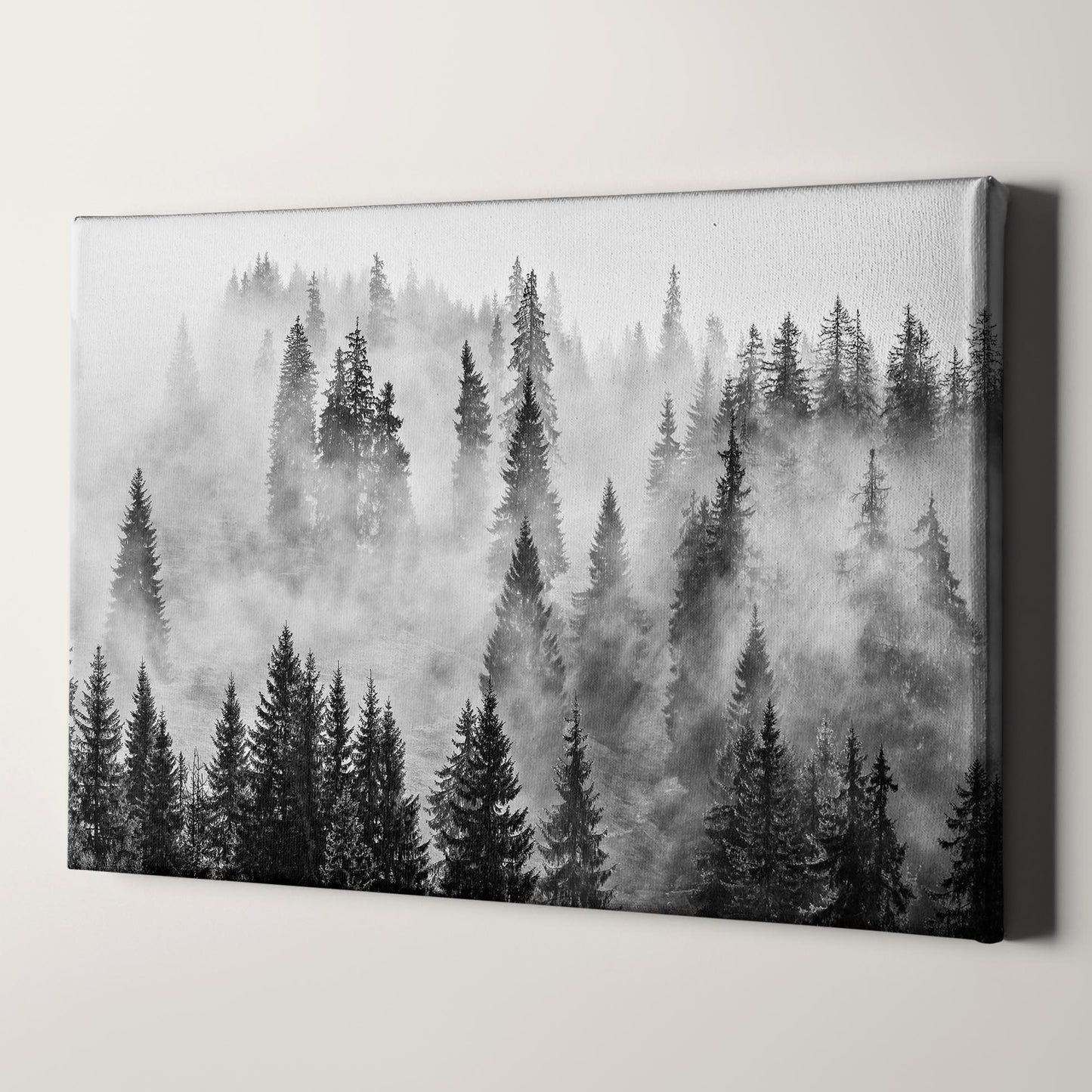 Foggy Forest