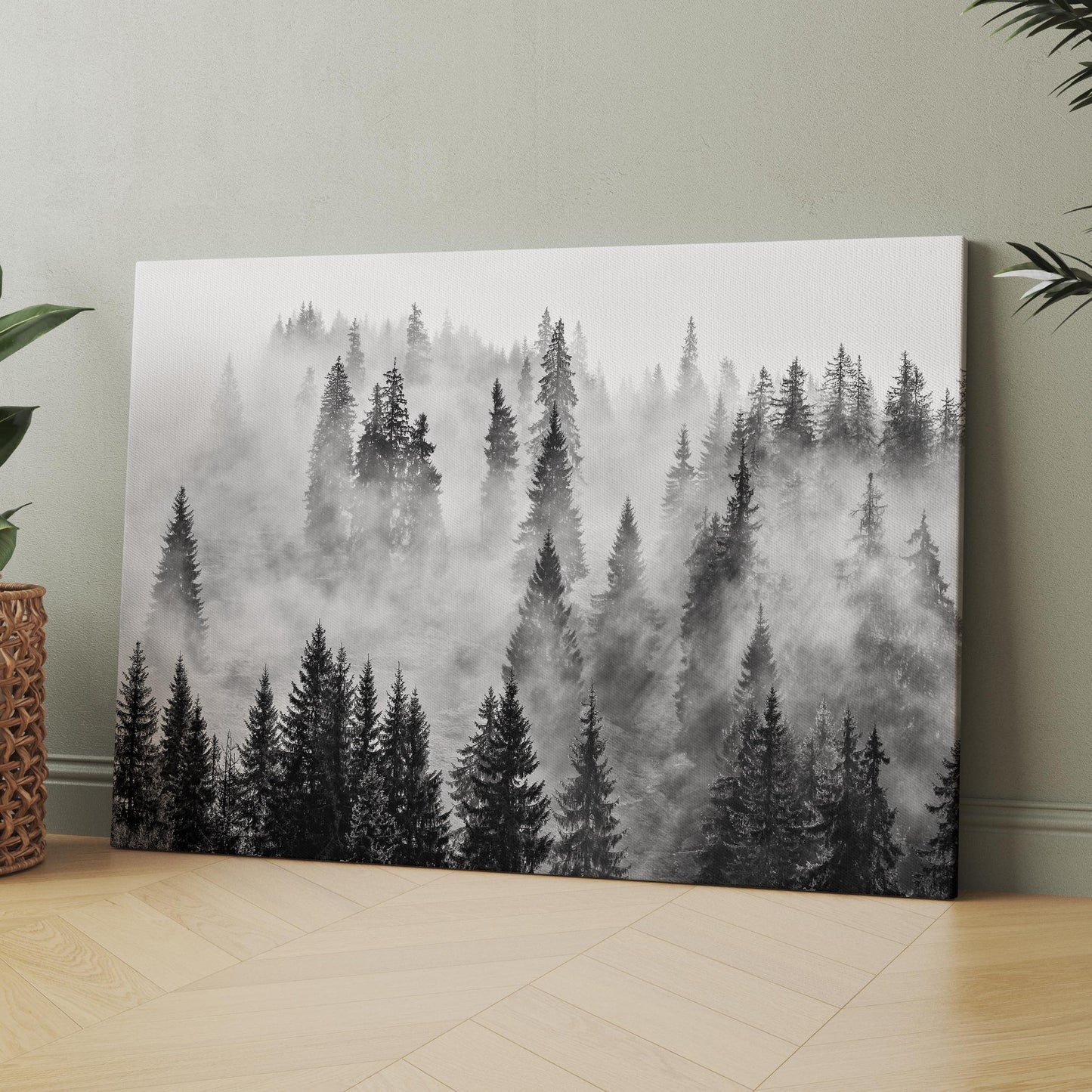 Foggy Forest