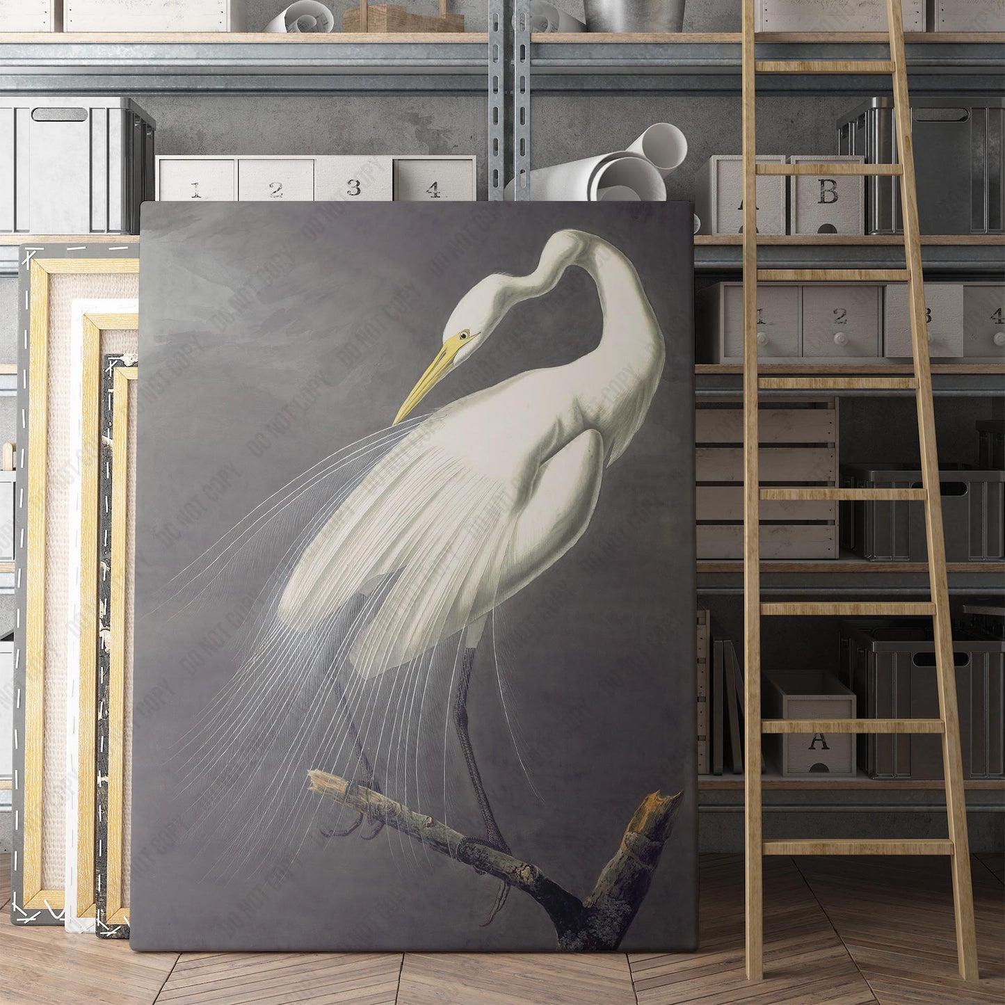 Great Egret, Birds of America