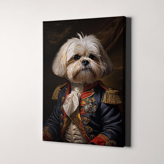 Maltese Shih Tzu Dog Aristocrat Portrait