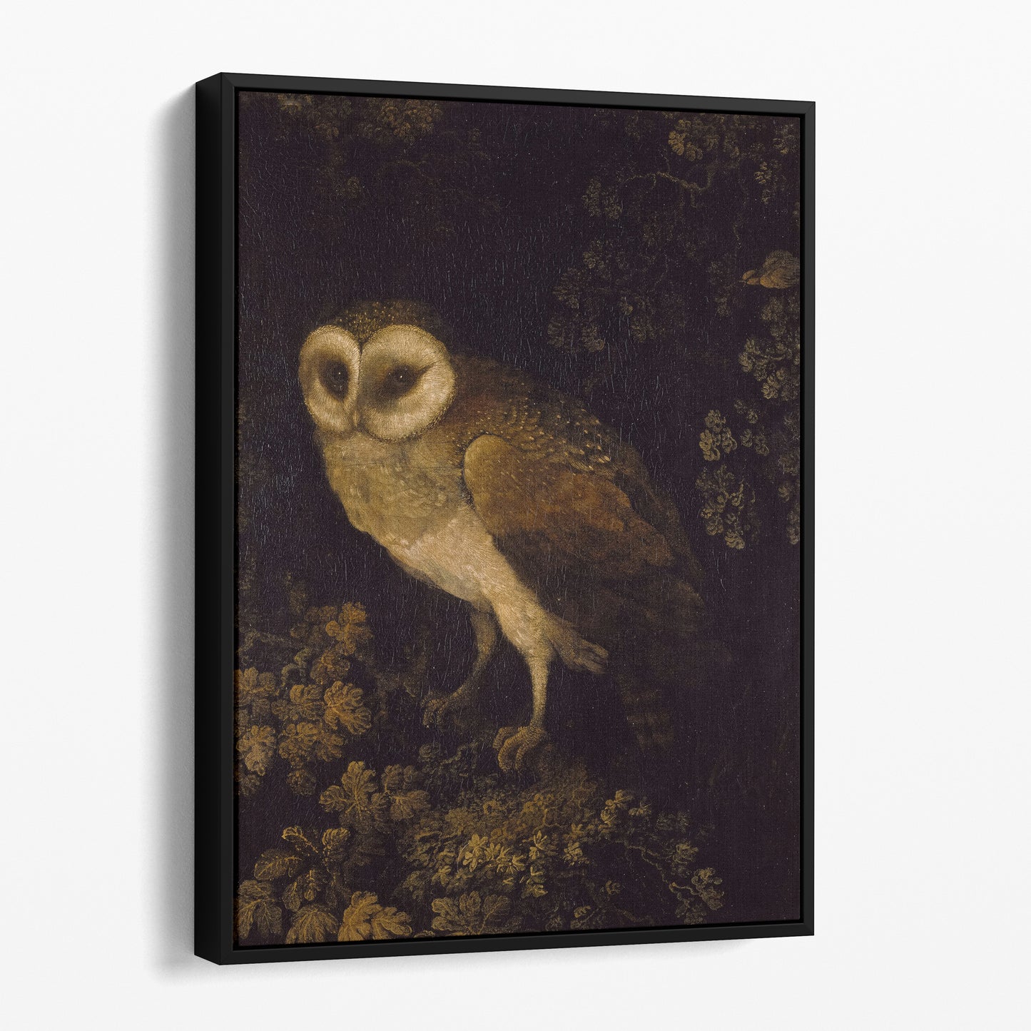 An Owl, Dark Academia by Moses Haughton