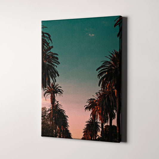Palm Trees Sunset, California
