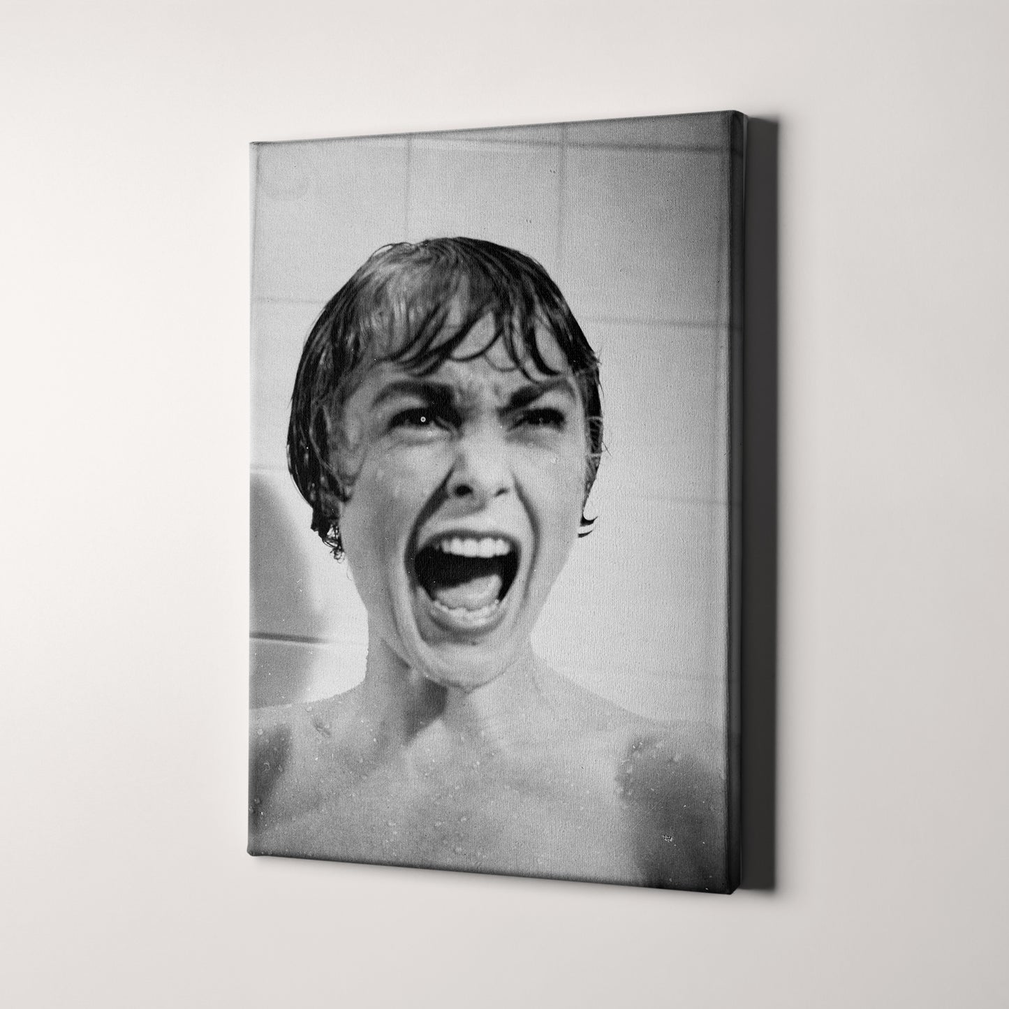 Psycho Movie Bathroom Scream