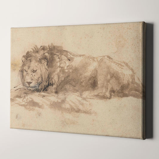 Reclining Lion by Rembrandt