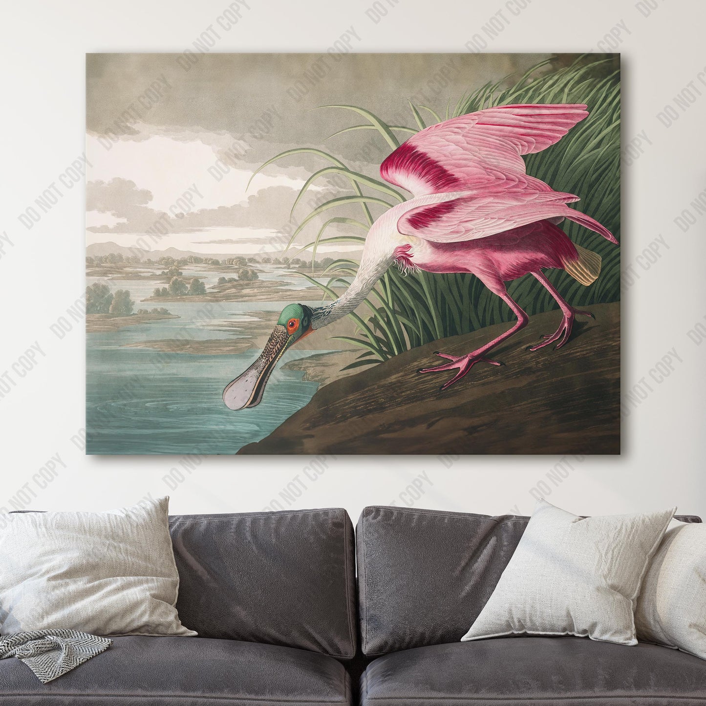 Roseate Spoonbill Birds of America