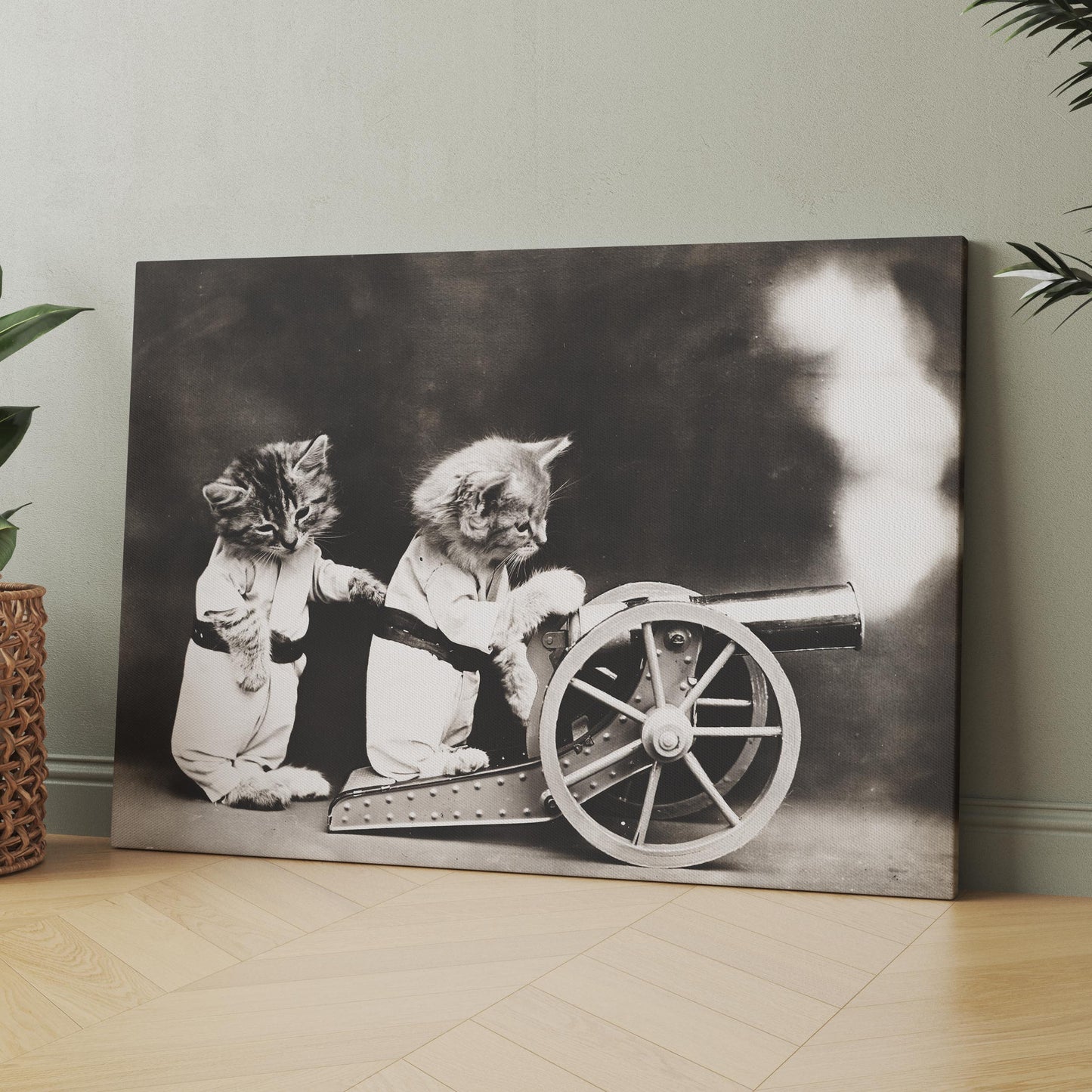 Two Cats Firing A Cannon 1800s