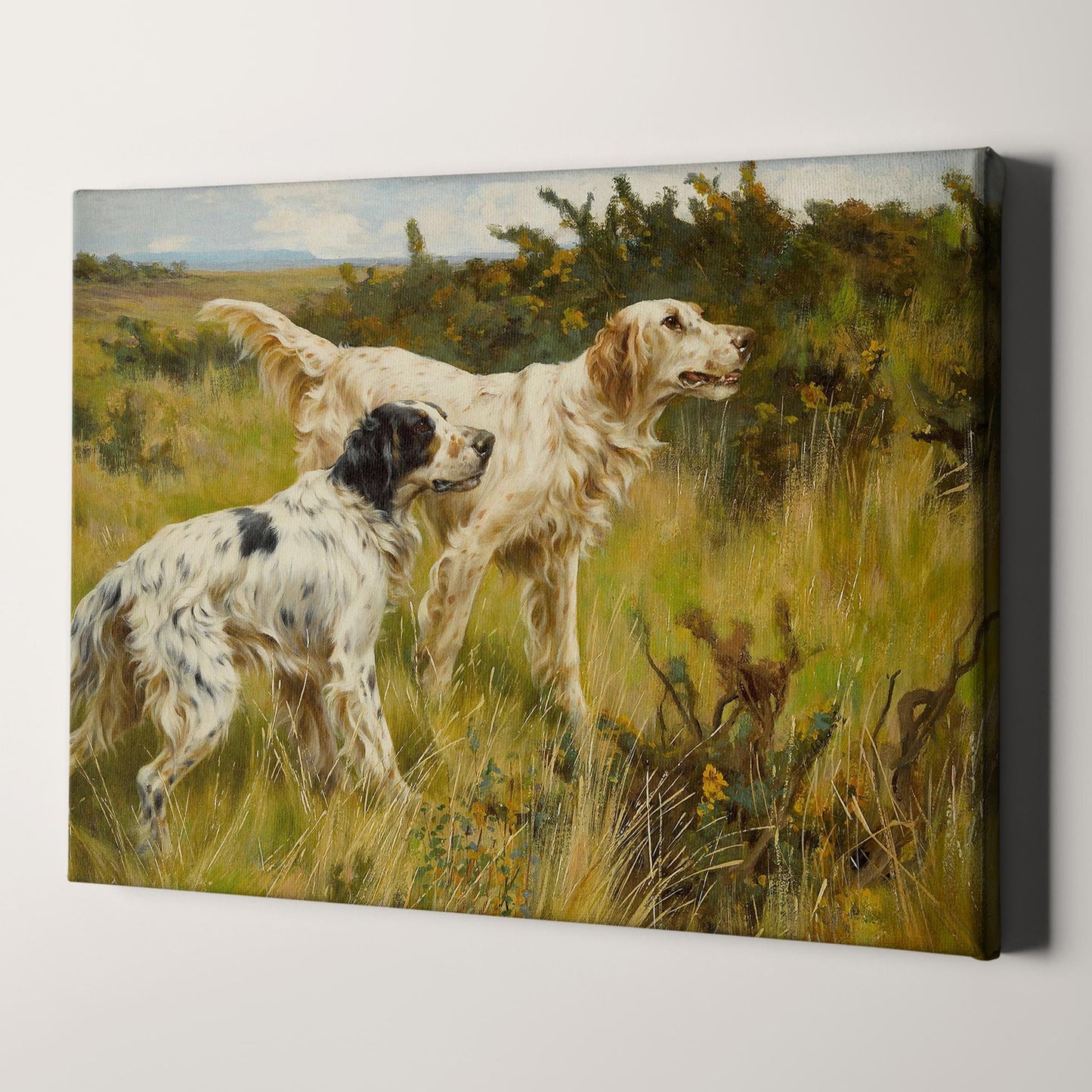 Two English Setters