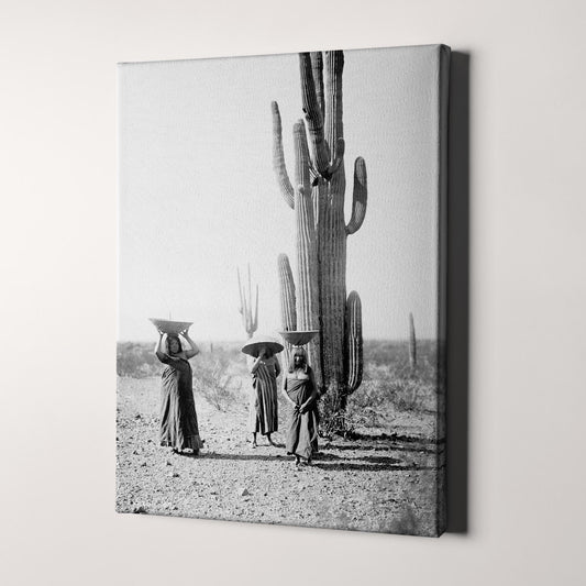 Saguaro Gatherers, Maricopa, Arizona (1907) by Edward Curtis