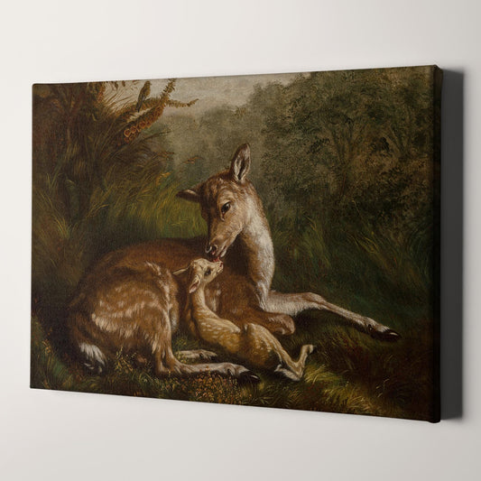 Deer and Fawn (1870) by Arthur Fitzwilliam Tait