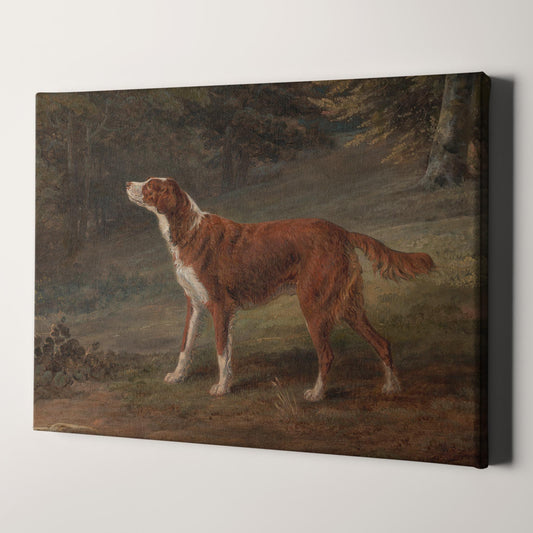 Ranger a English Setter Dog (1797) by George Garrard